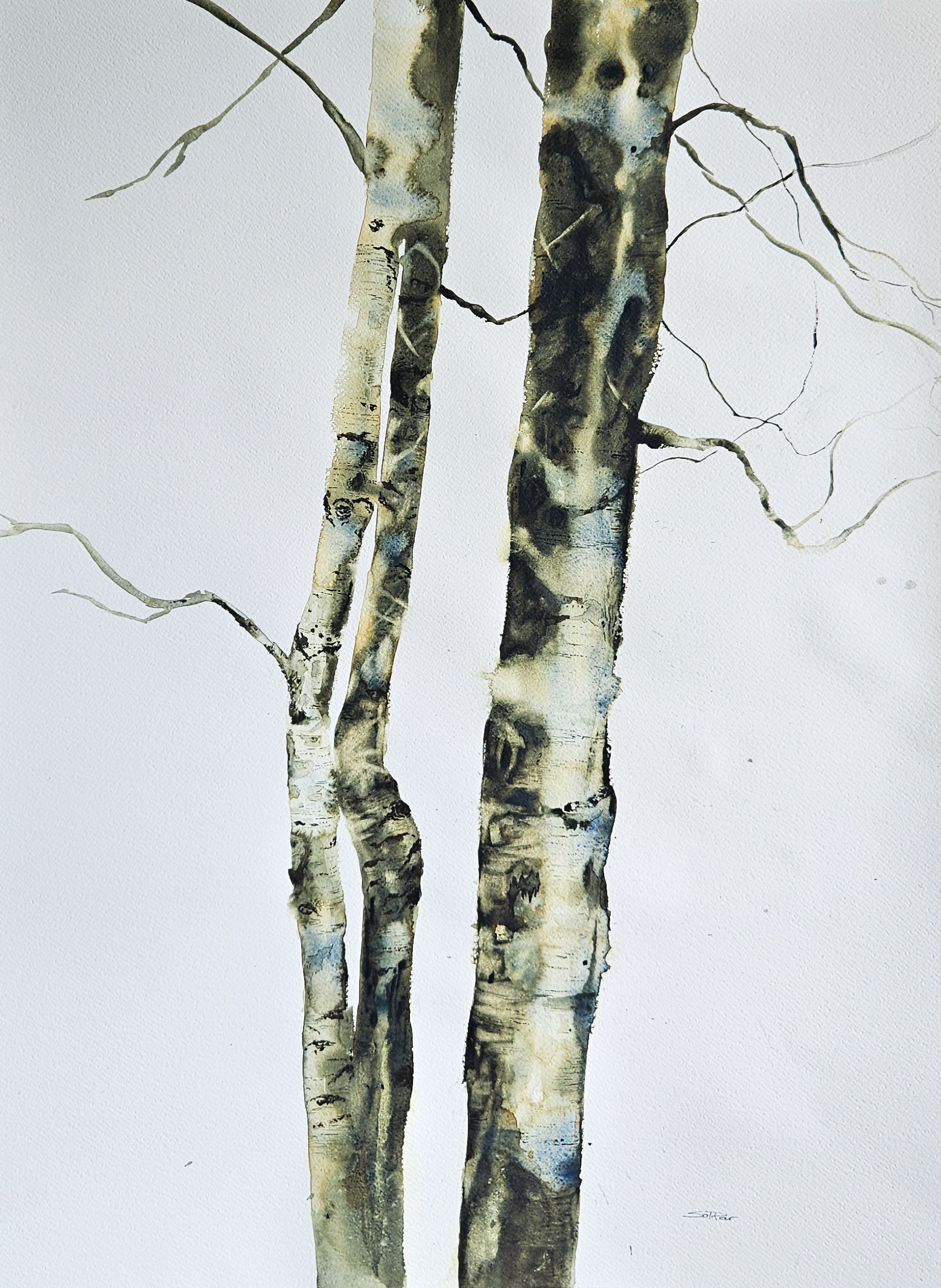 Träd i undersae green