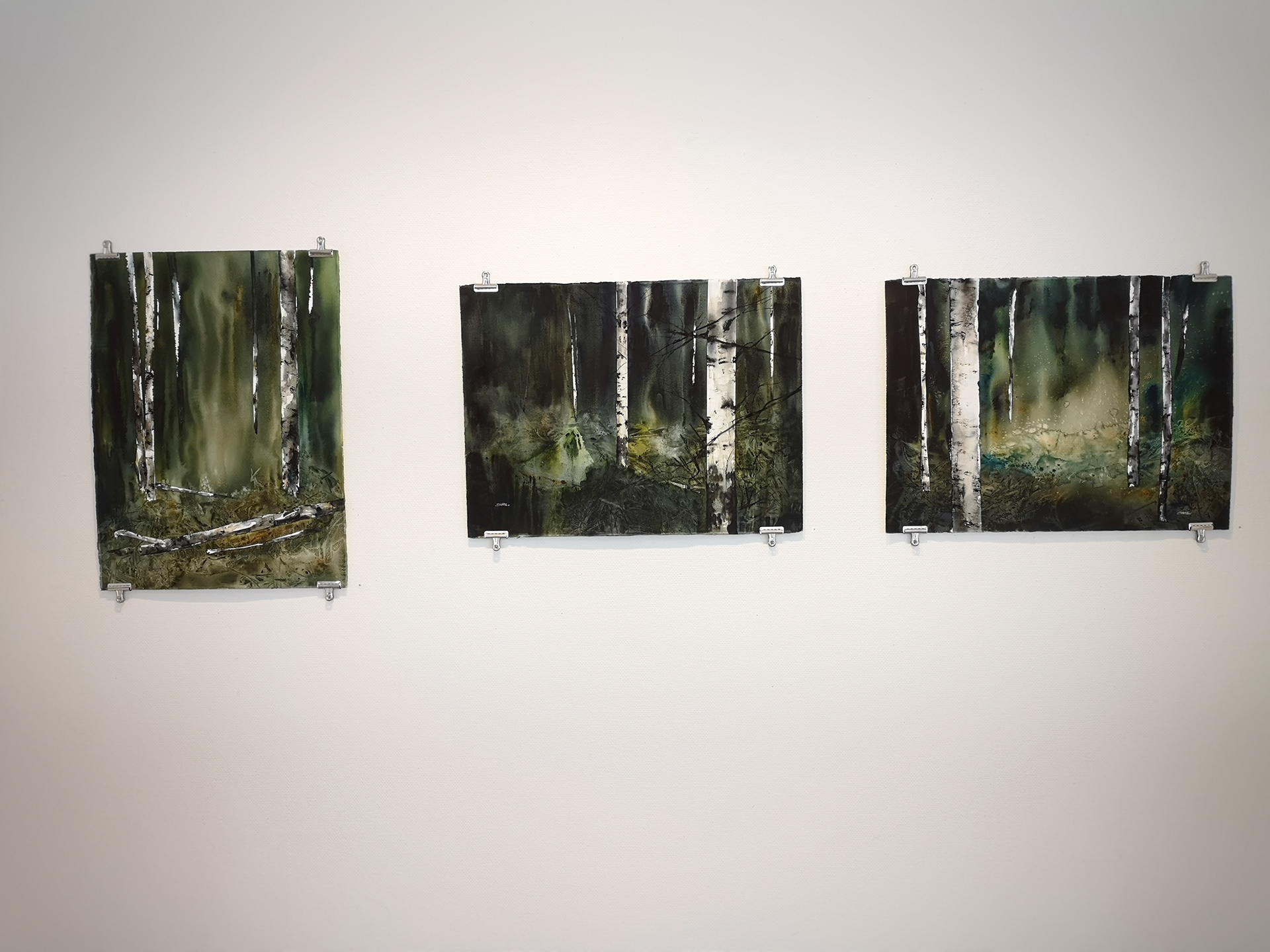 Skog