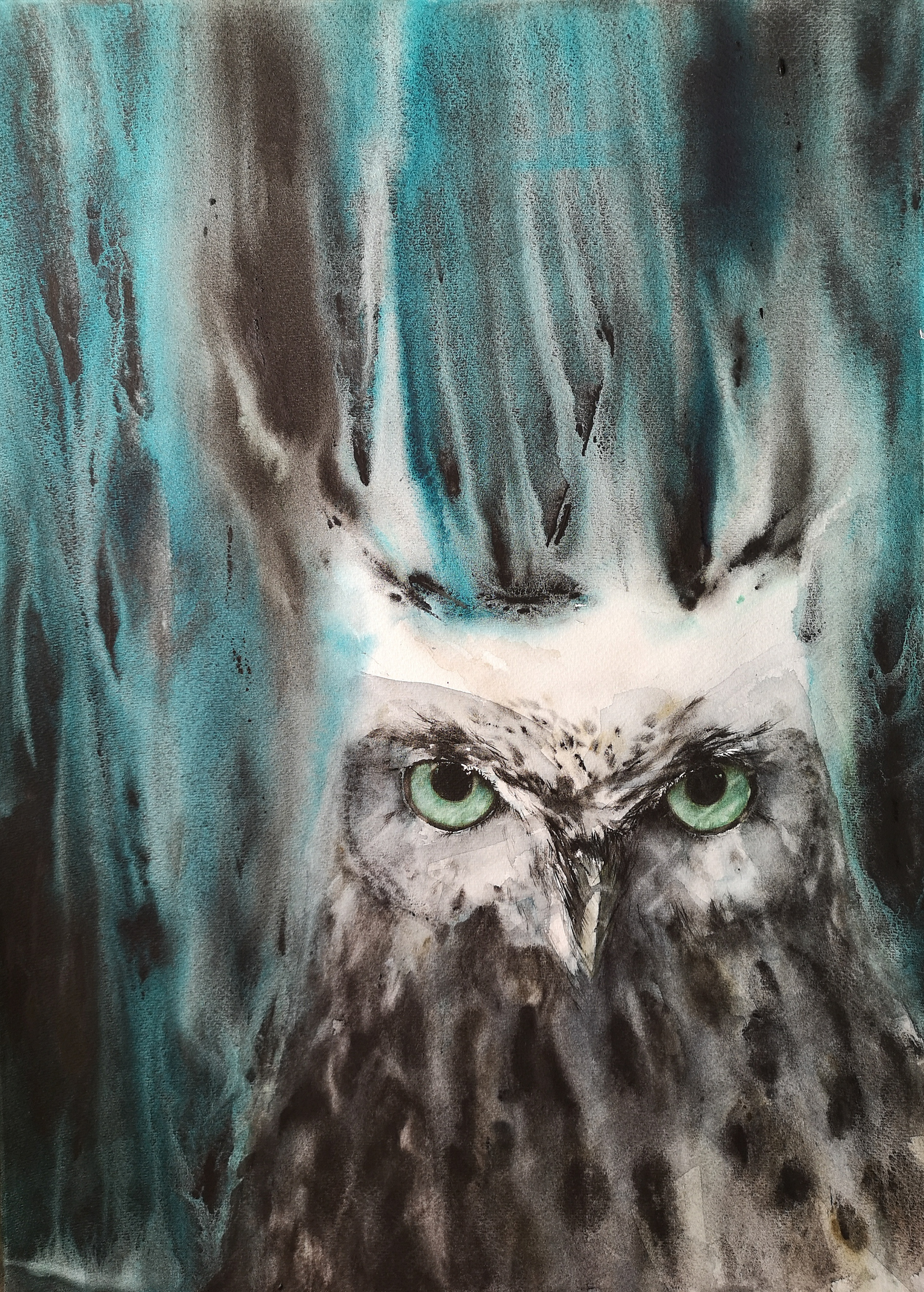 Whiteheaded owl