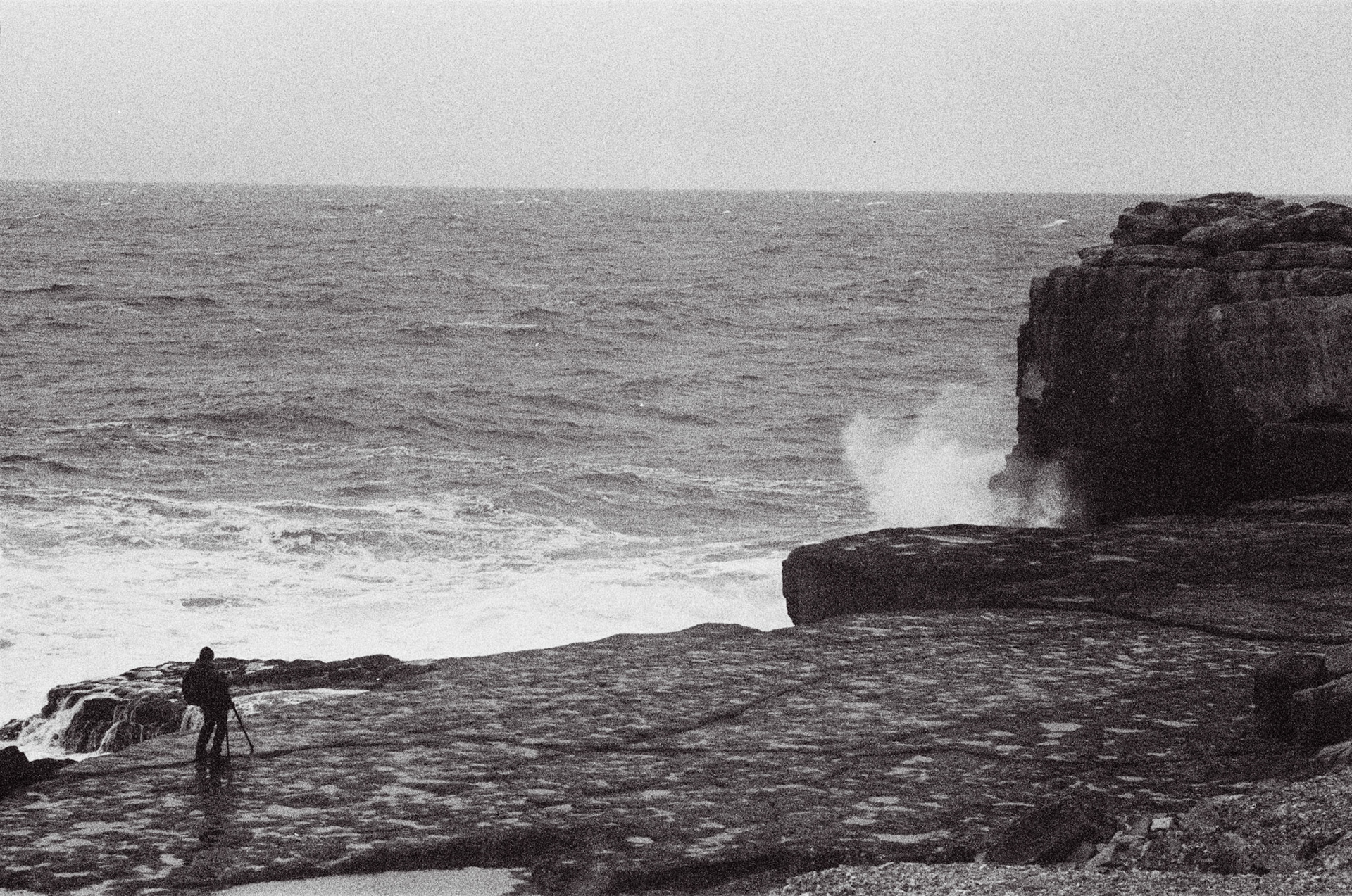 Lyme Regis Photographer