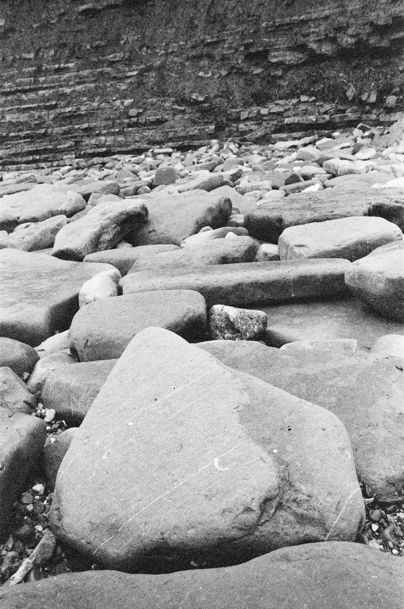 Ammonite Pavement Lyme Regis