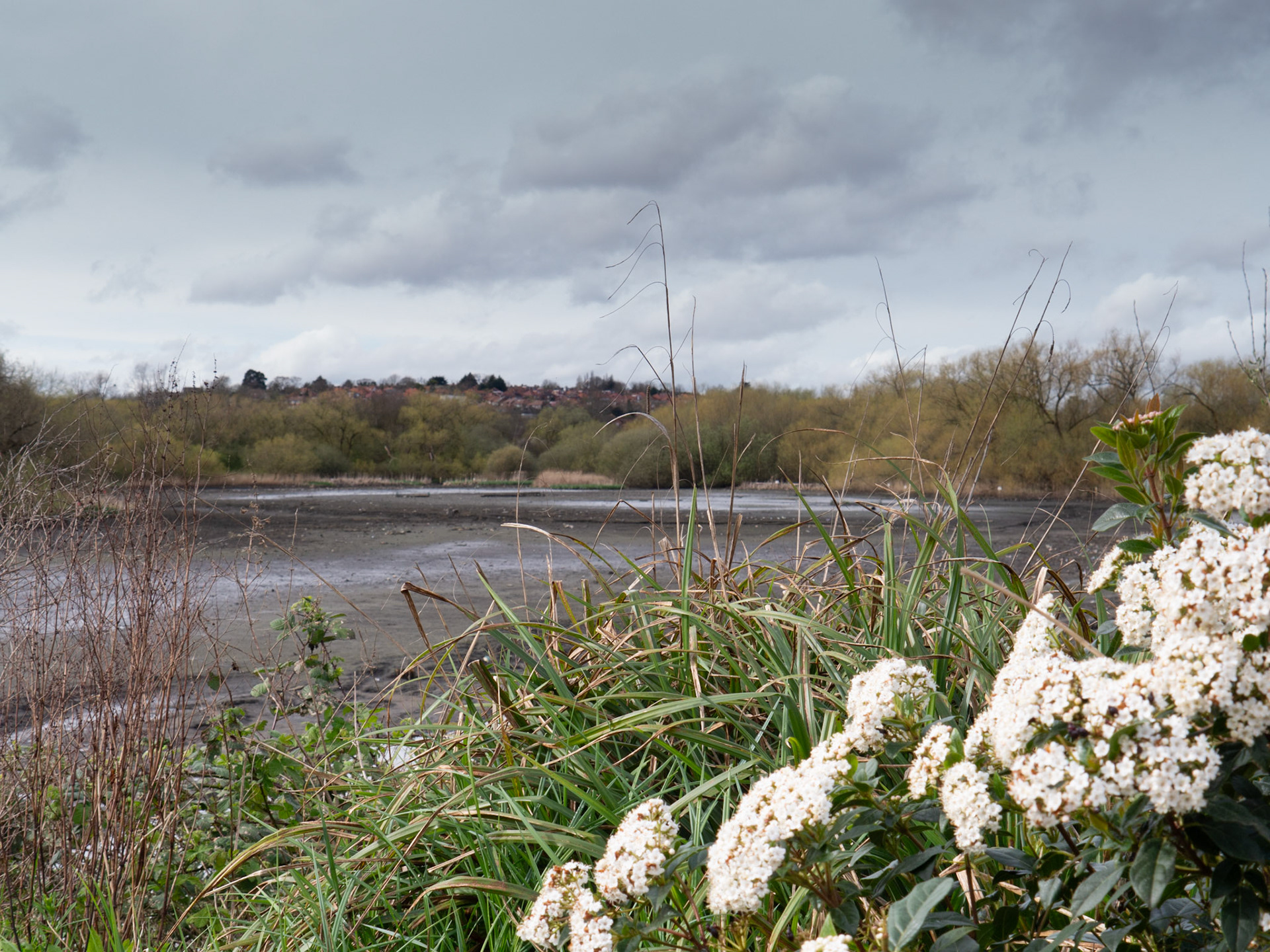 Welsh Harp Reservoir