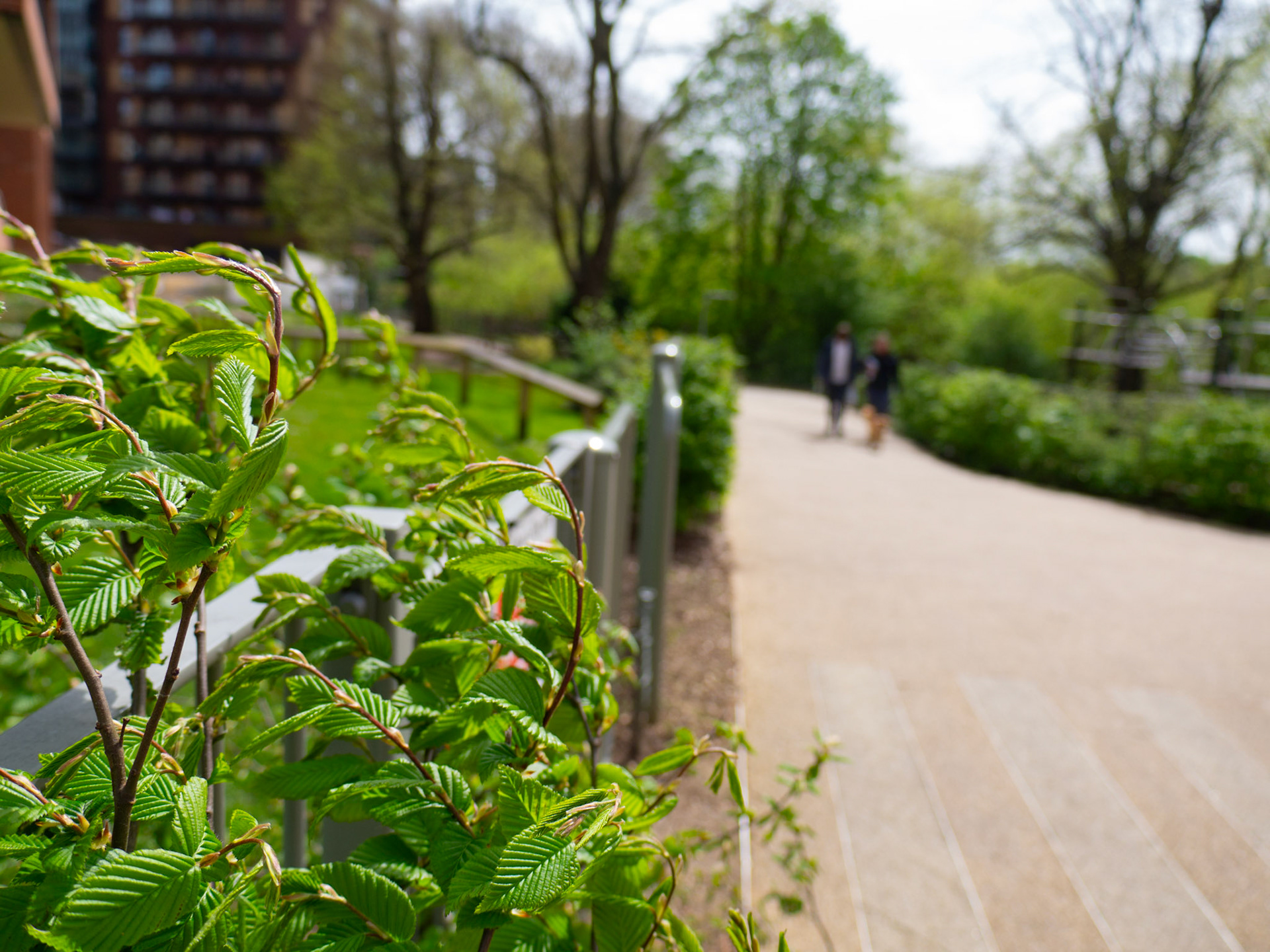 Welsh Harp Reservoir