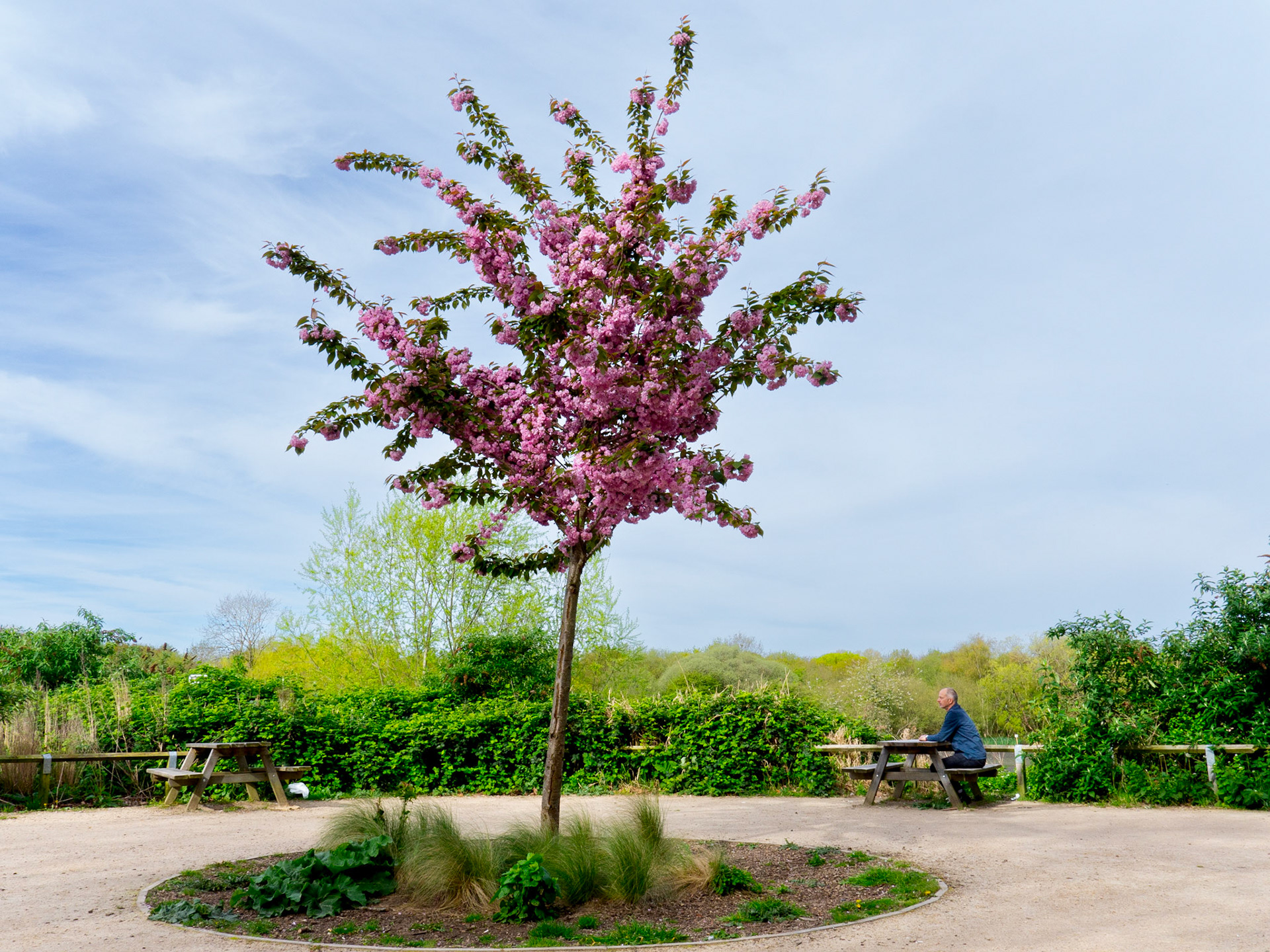 Welsh Harp Reservoir