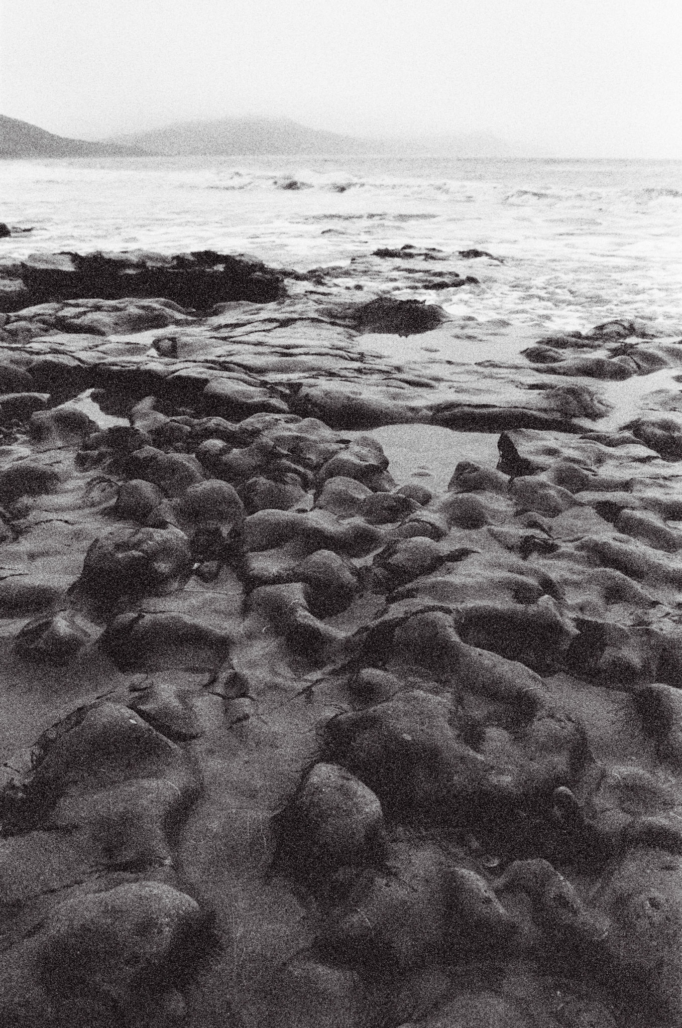 Ammonite Pavement Lyme Regis
