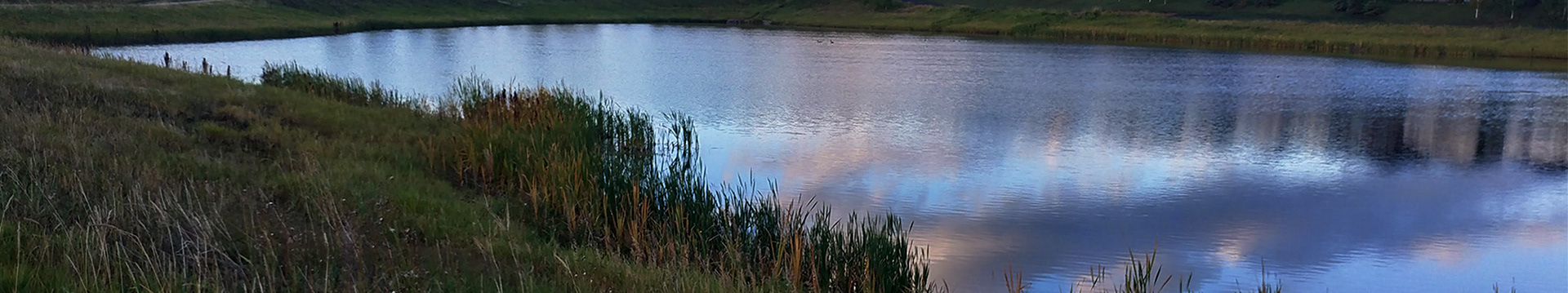 Sage Hill storm pond at dusk.