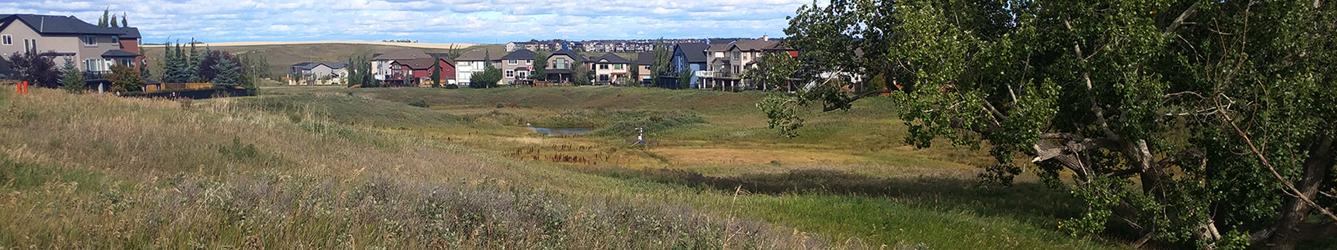 A view of the ravine in Sage Hill, Calgary.