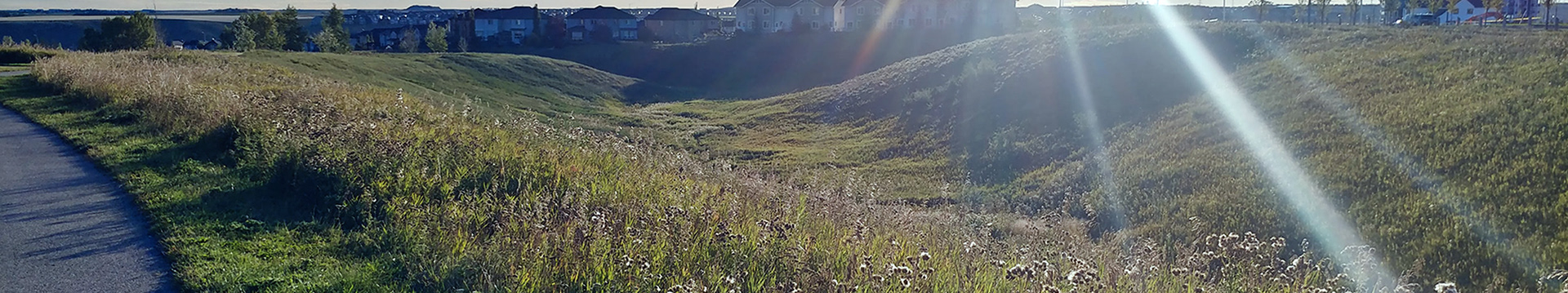 Grassland covered ravine in Sage Hill.