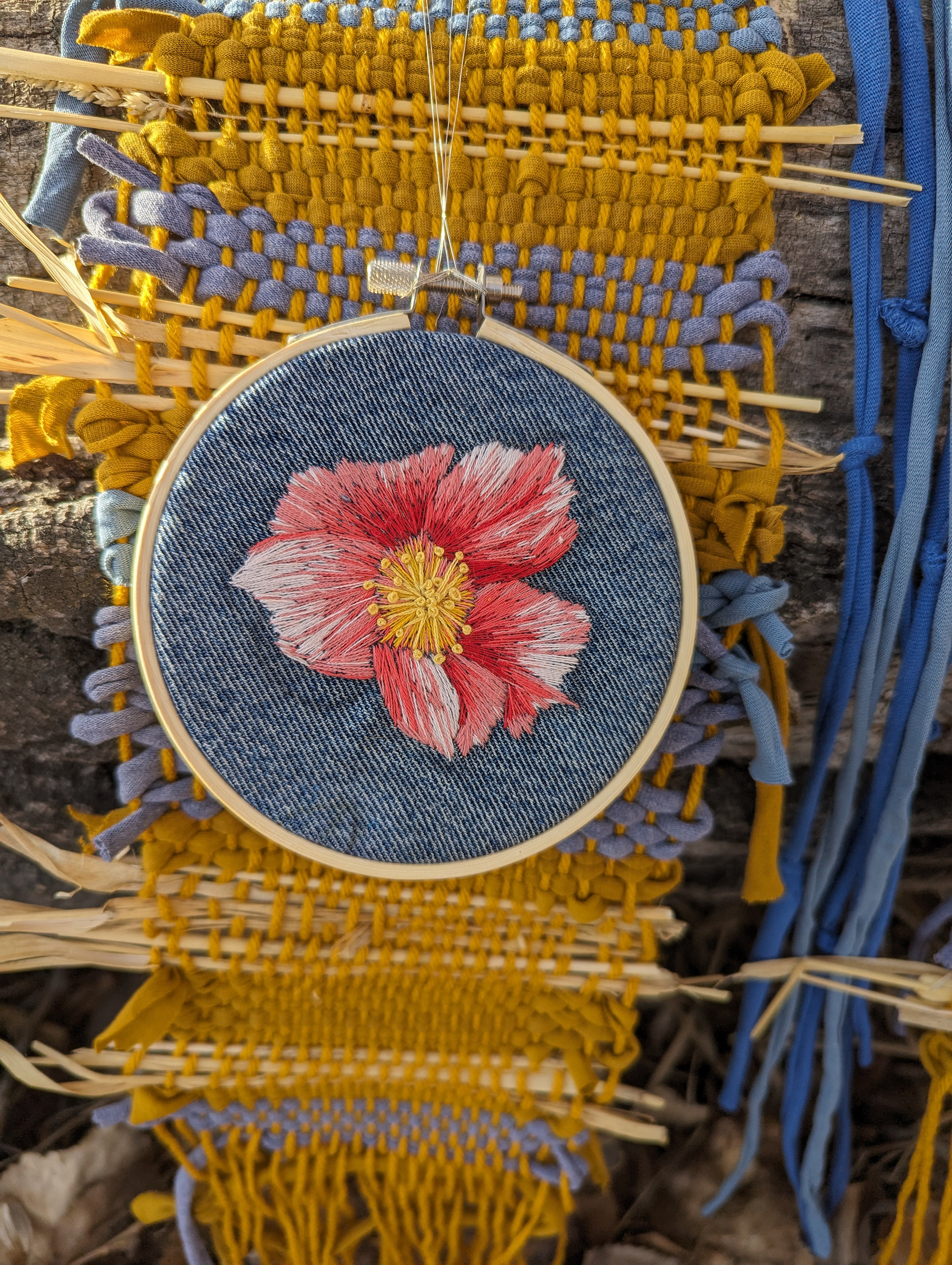 Alberta's provincial flower, the wild rose.