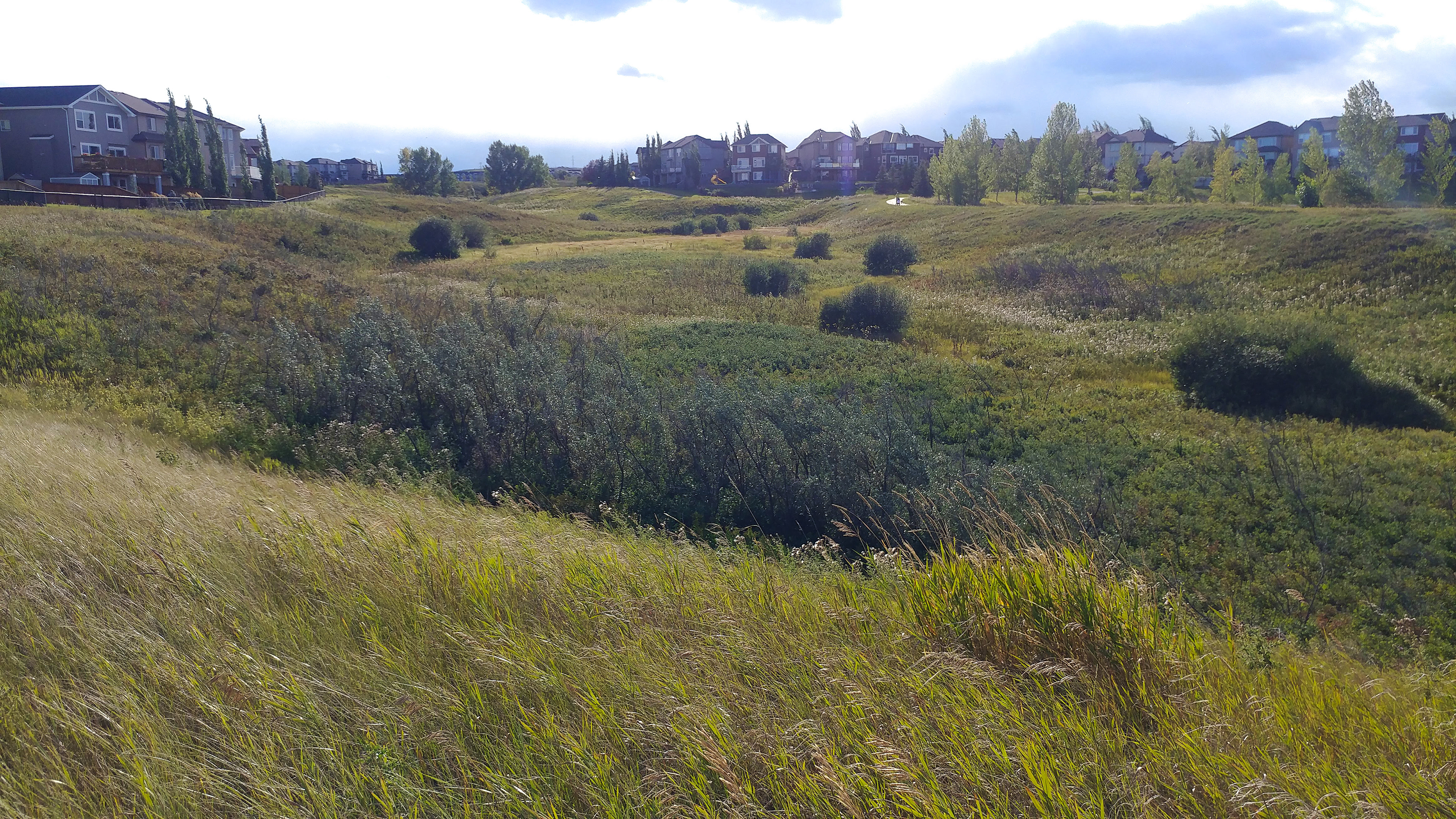The ravines have naturally growing foliage.
