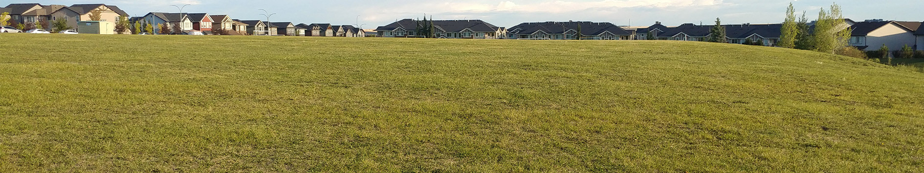 The "Future School" field in Sage Hill.
