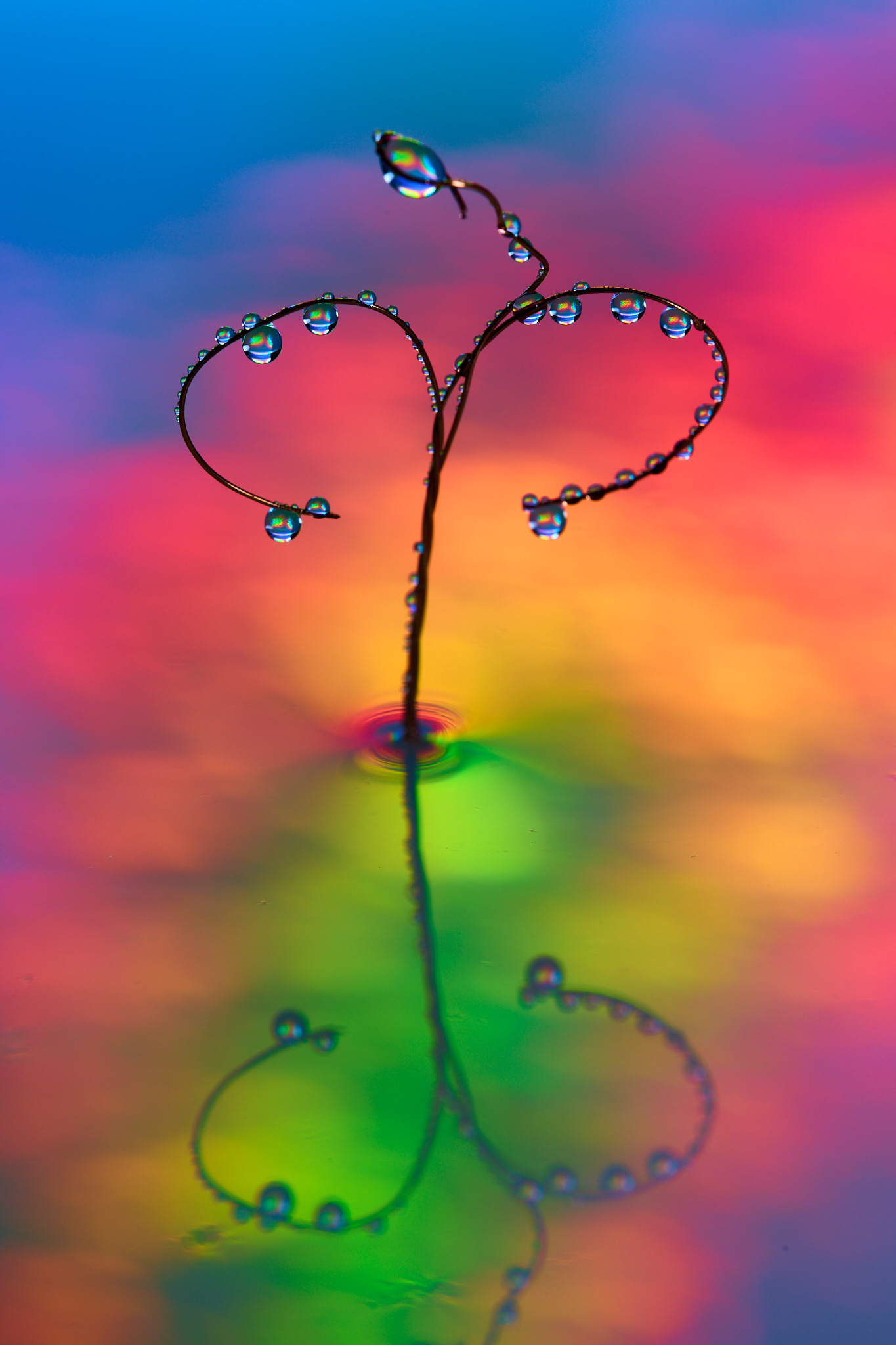 Drops on copper wire