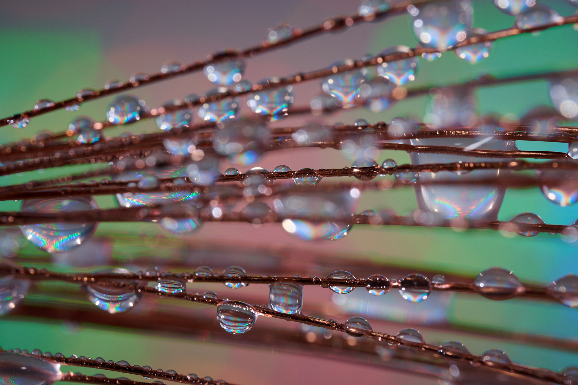 Drops on copper wire