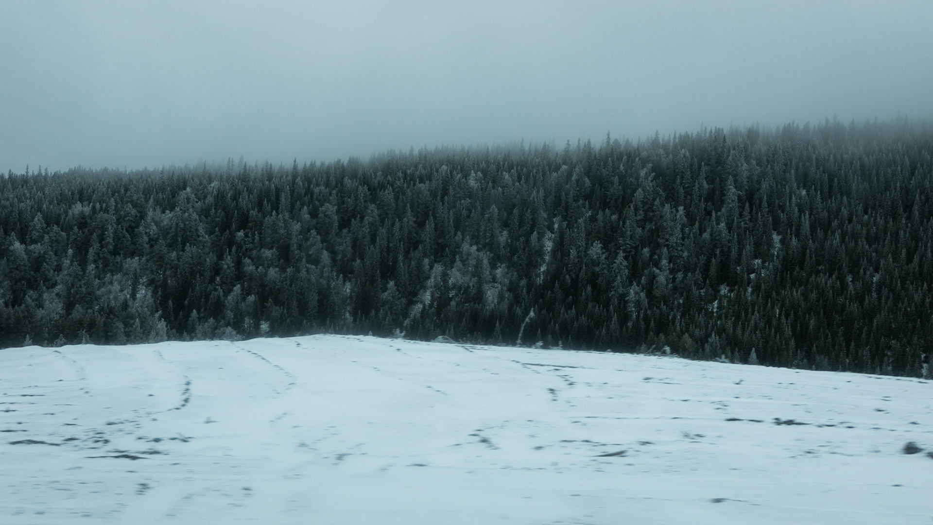 Cold North