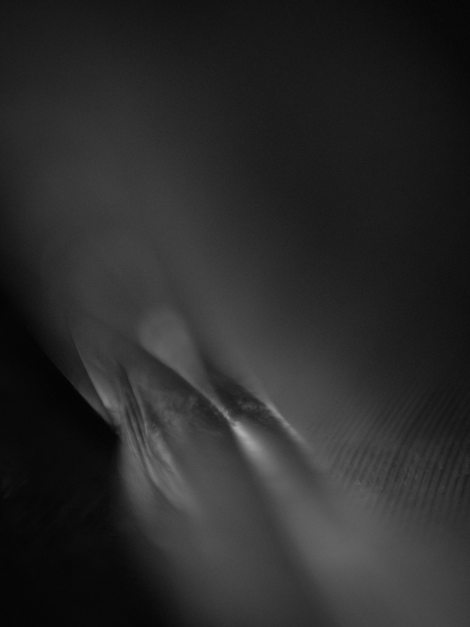 Macro en casa 2