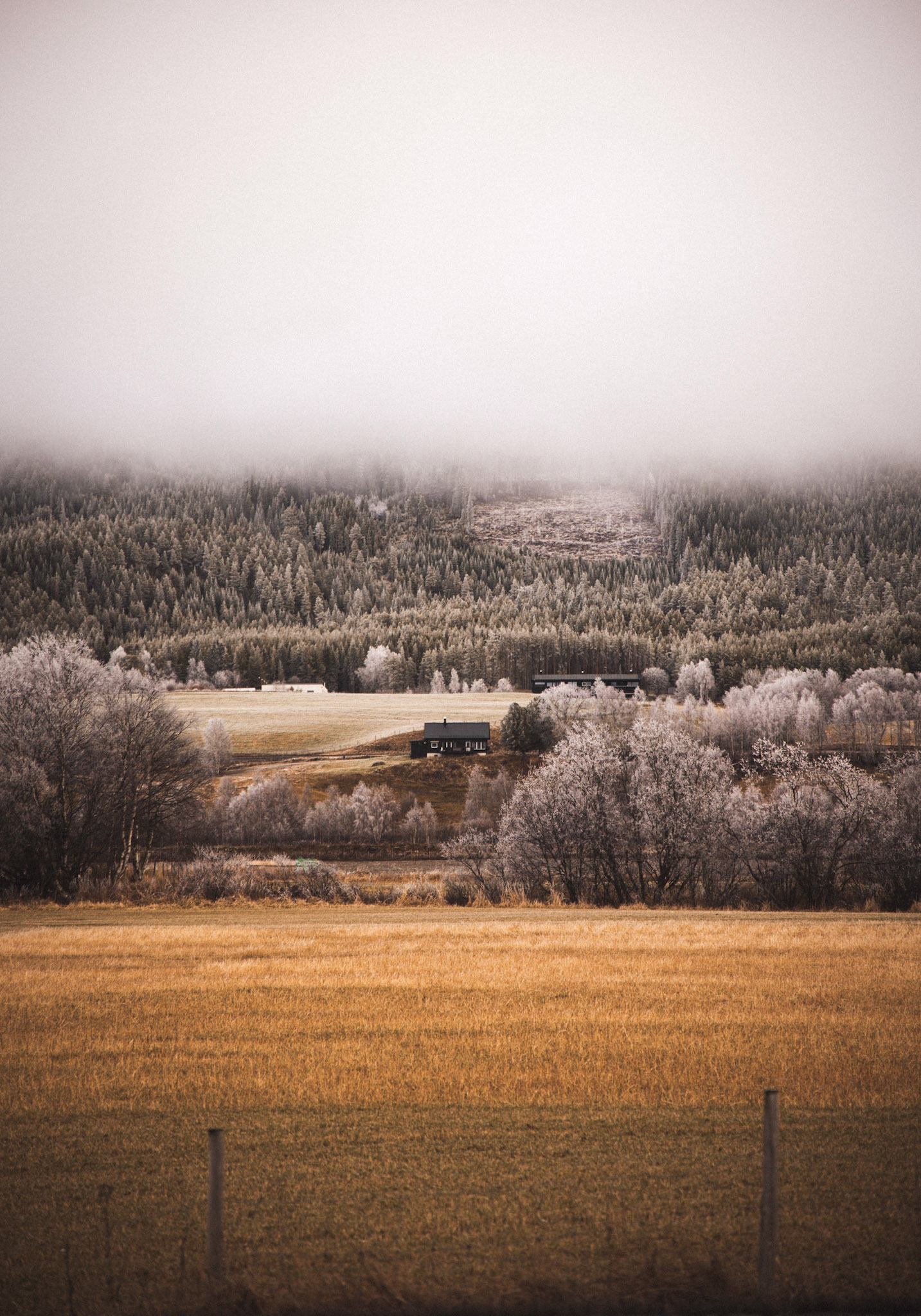 The Norway way