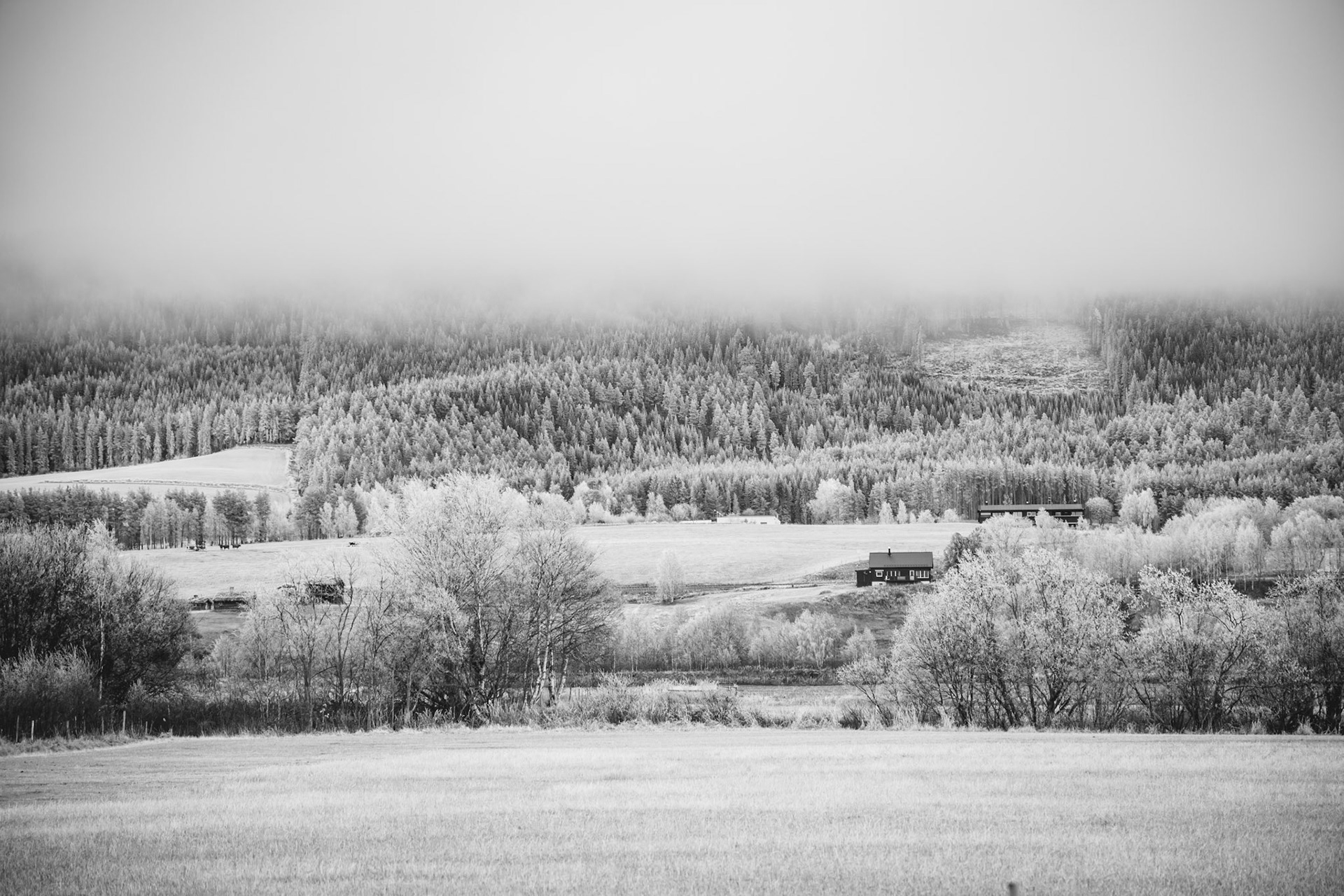 The Norwegian way