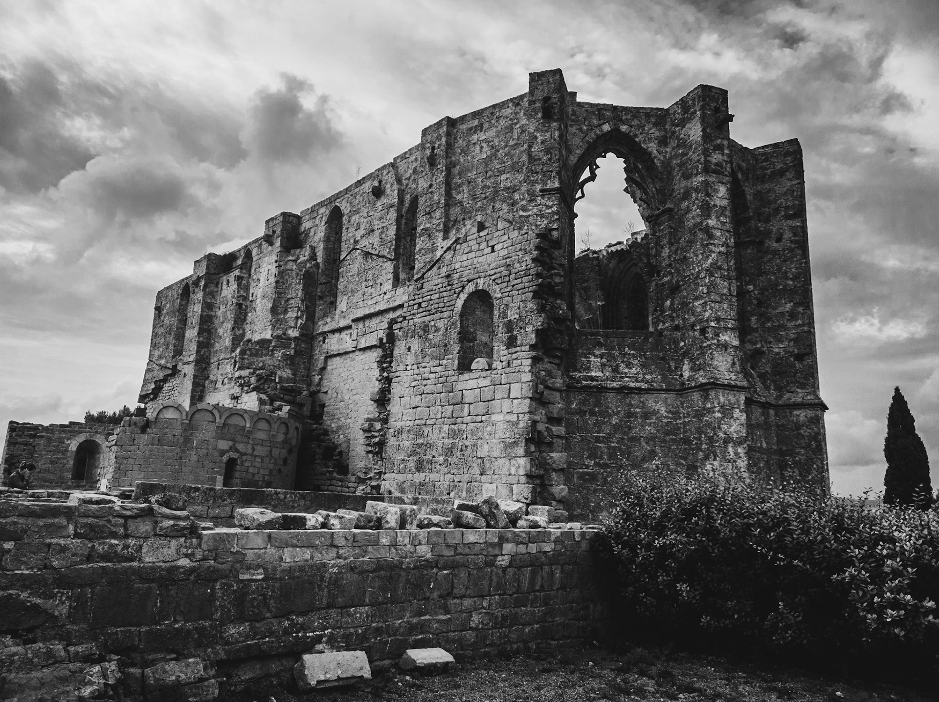 this is from oplus camera