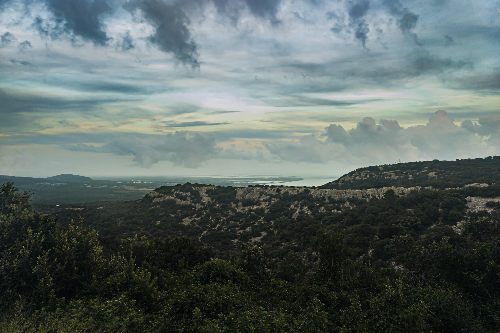 this is from oplus camera