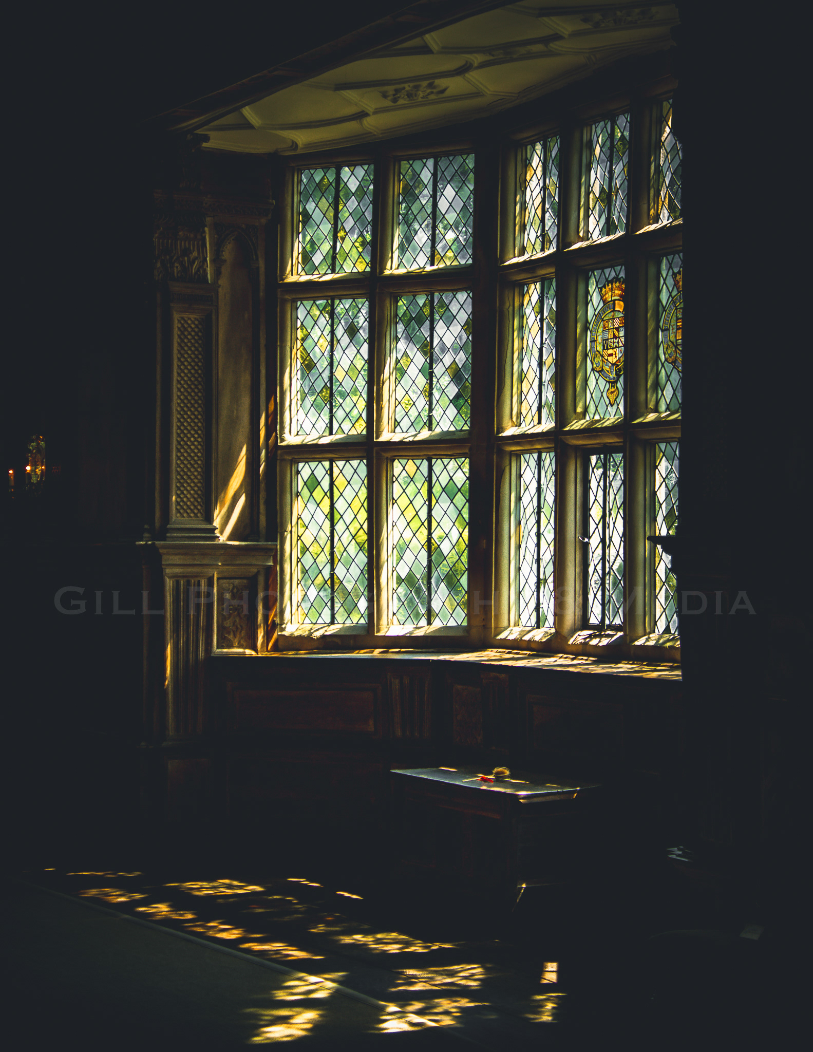 Casting Light - Haddon