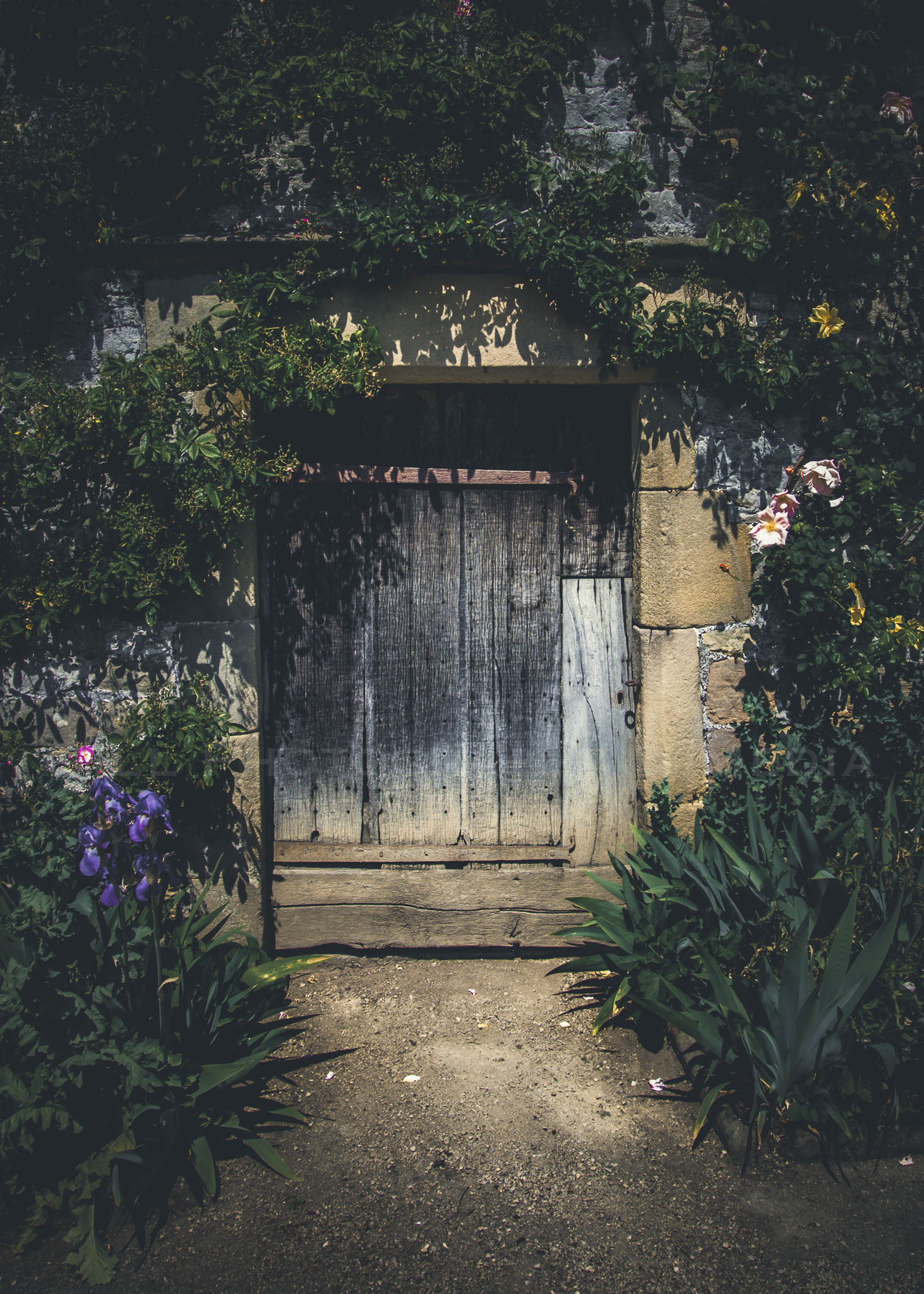 Doors of Intrigue - Haddon Hall 