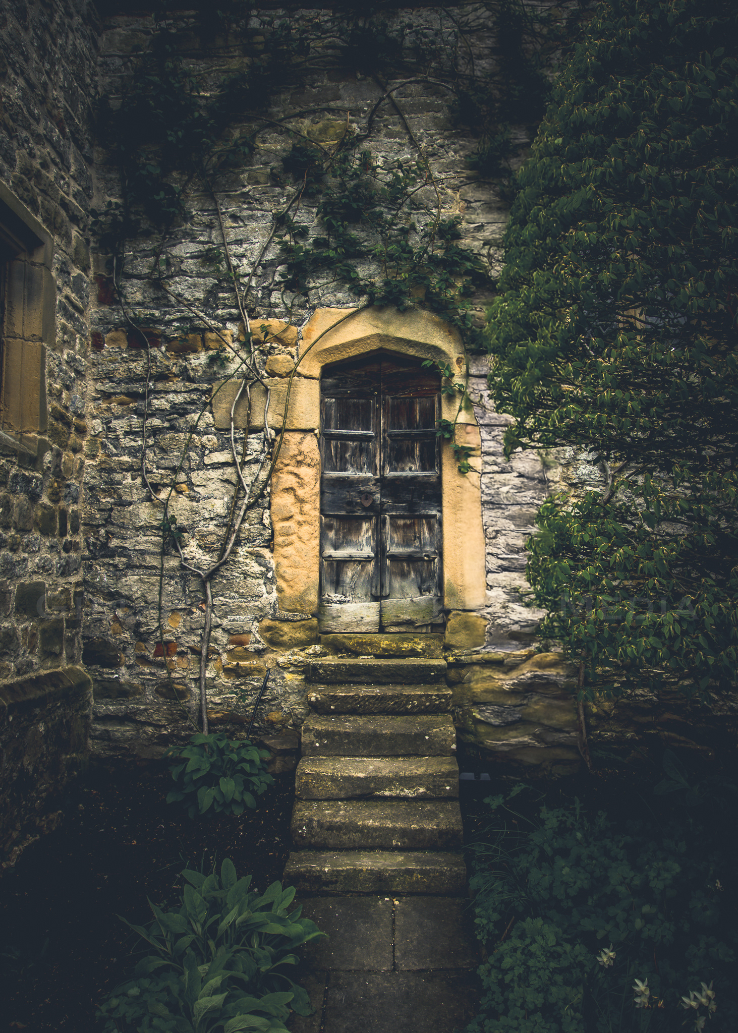 Doors of Intrigue - Haddon Hall 