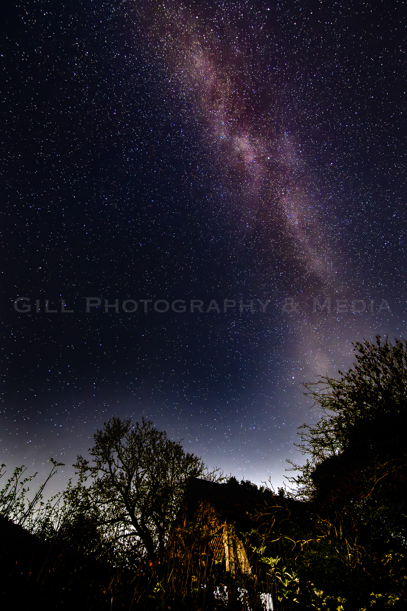Milkyway 2025