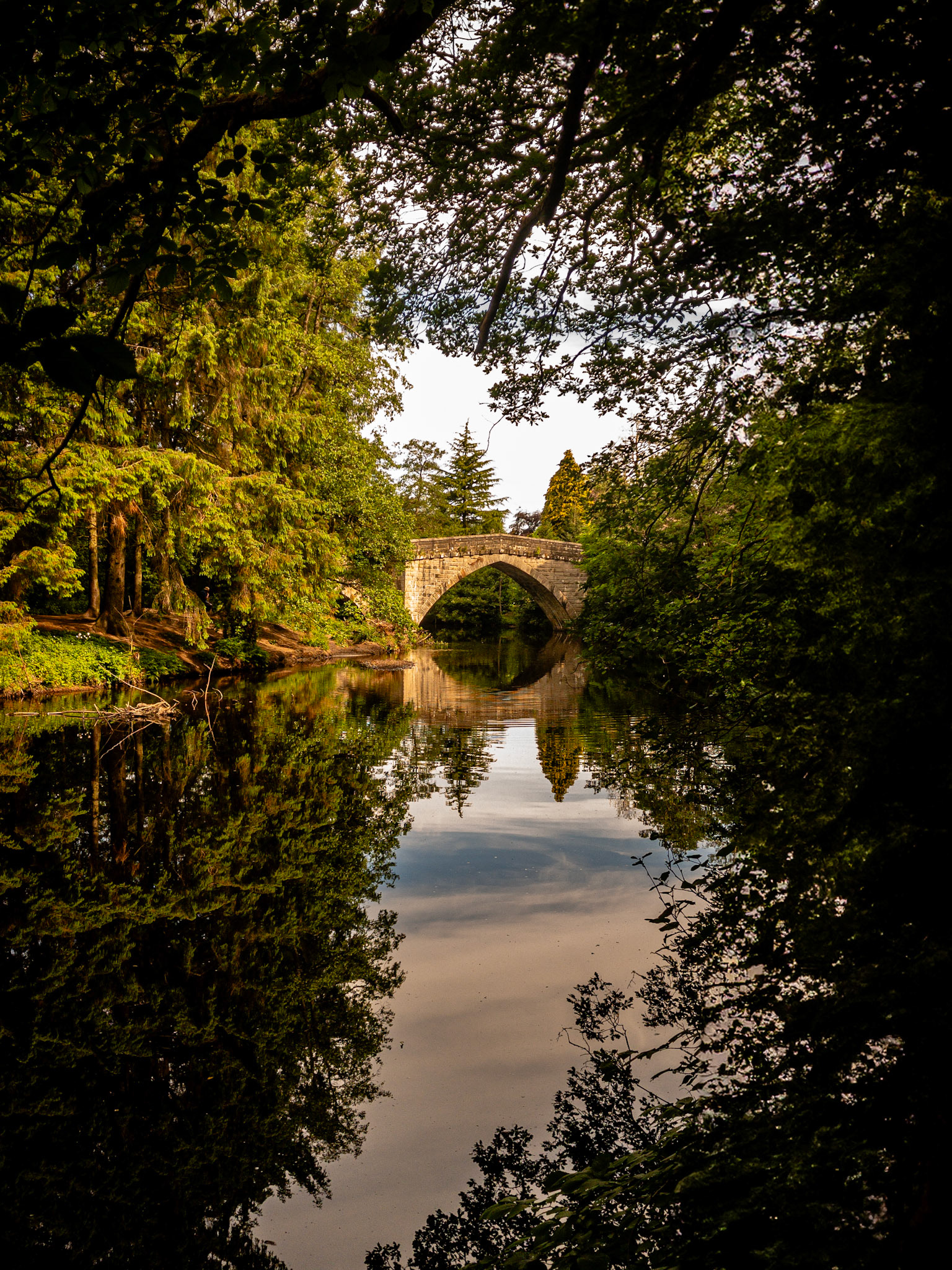Reflection - Froggatt