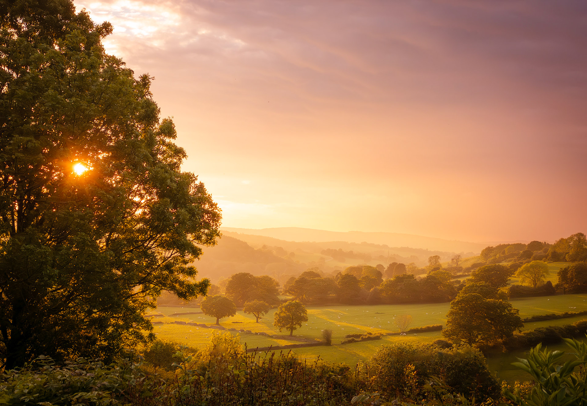The Gloaming - Beeley