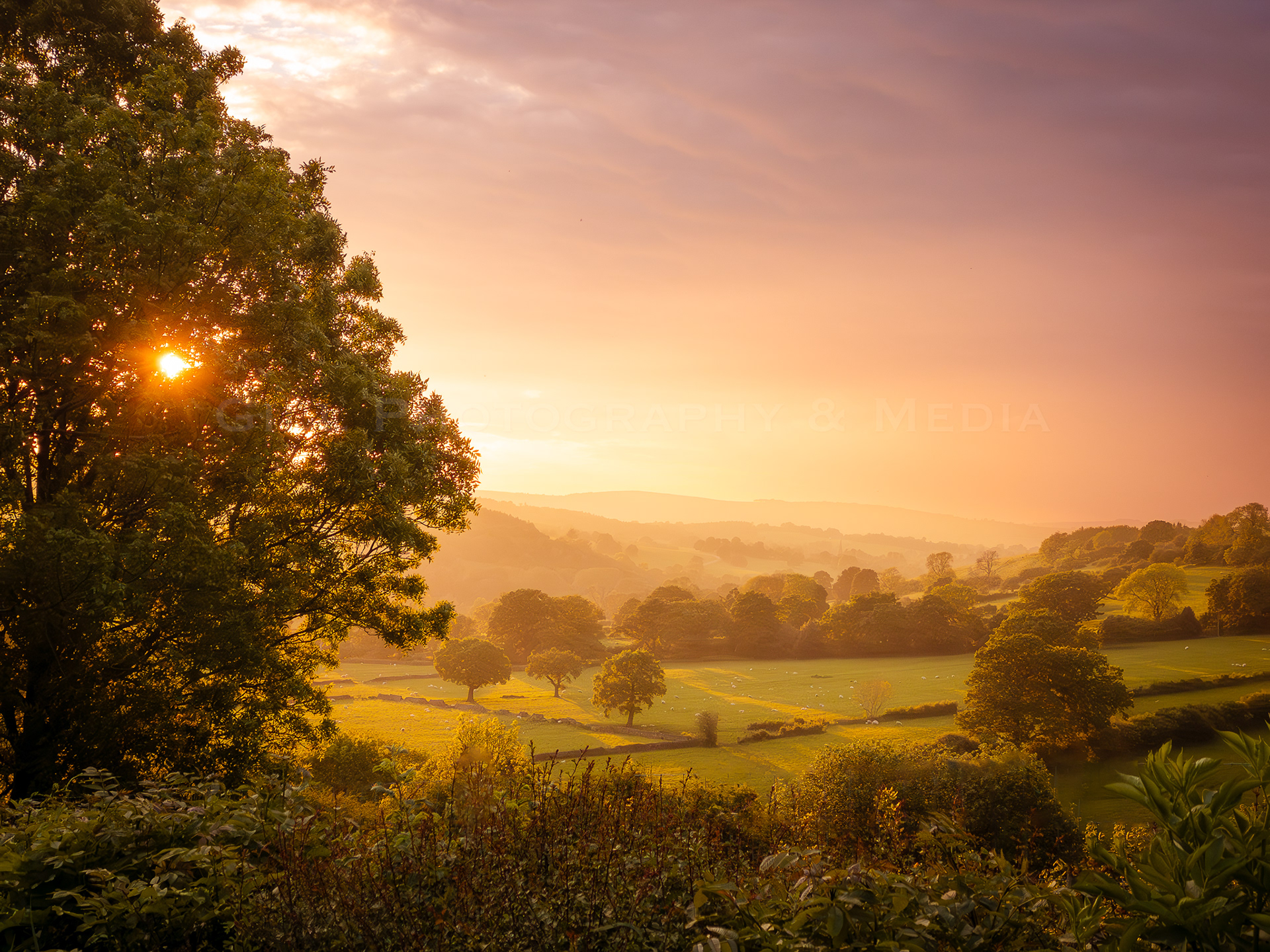 The Gloaming - Chatsworth Parkland