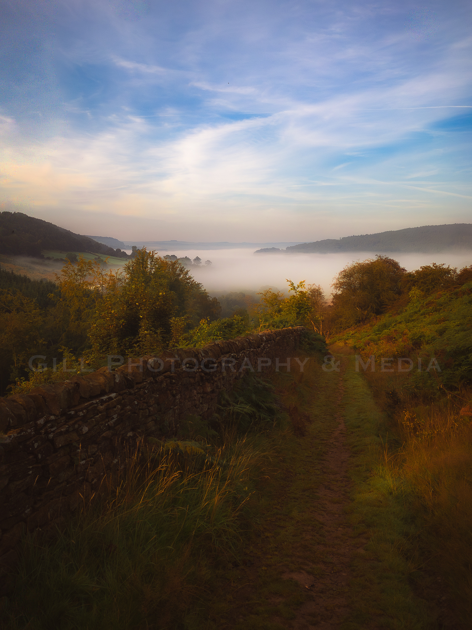 Inversion - Beeley Plantation
