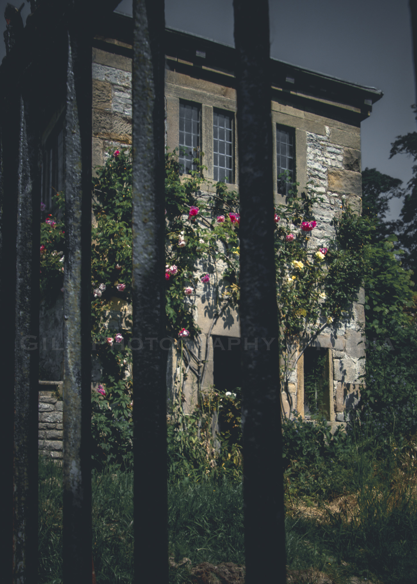 Stolen View - Haddon