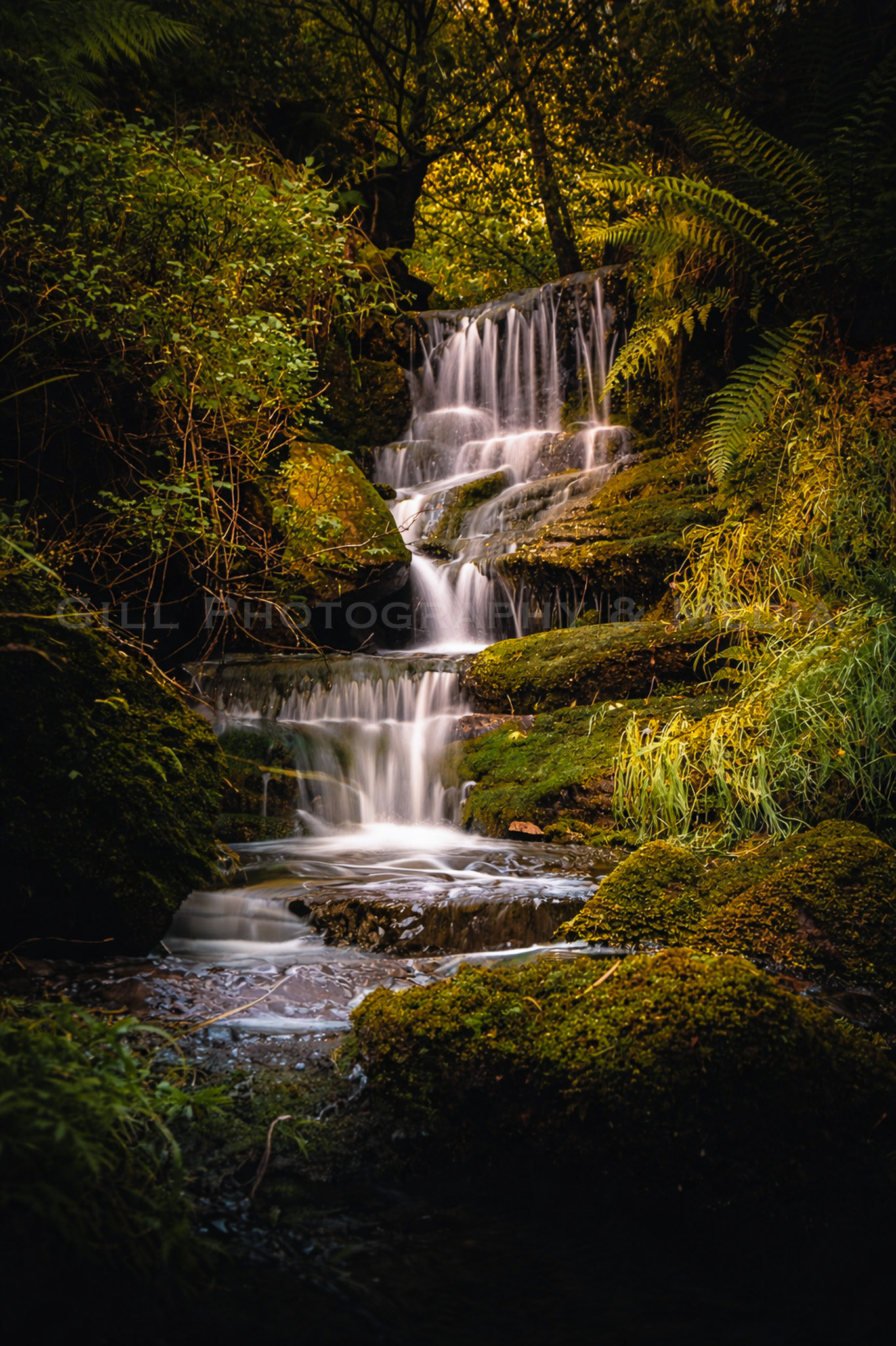 Enchanted Wood - Fairy Pools