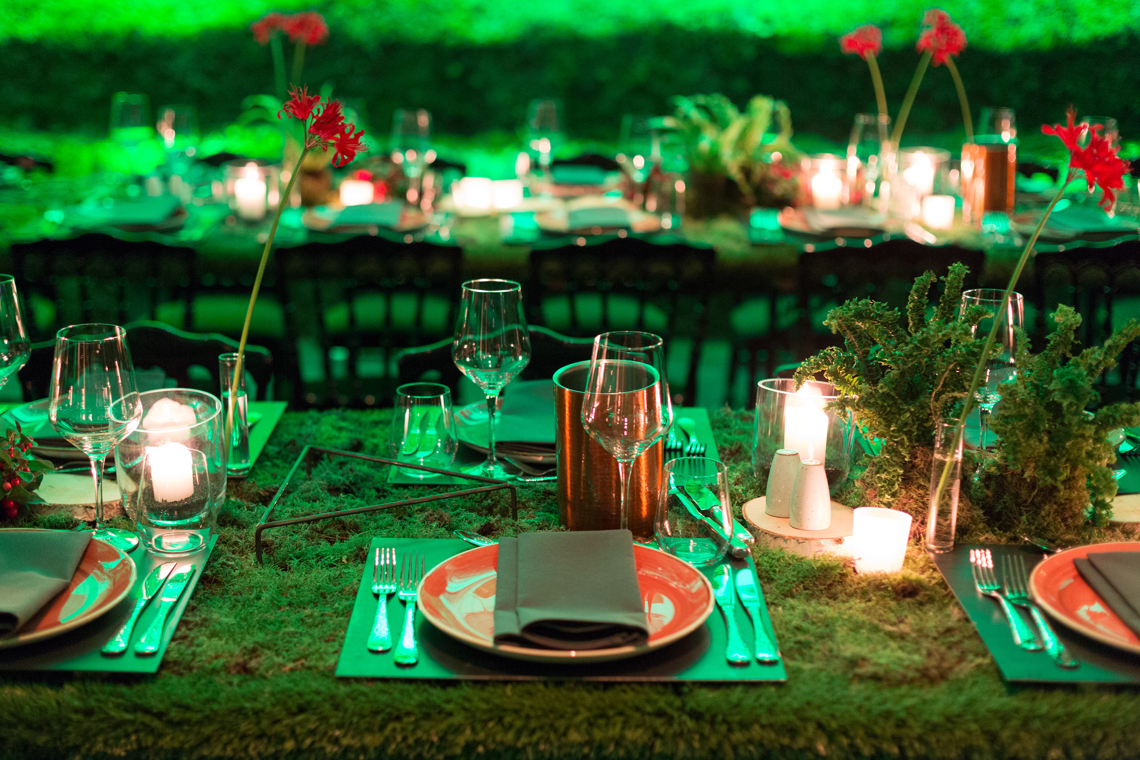 sophie van veen photographer