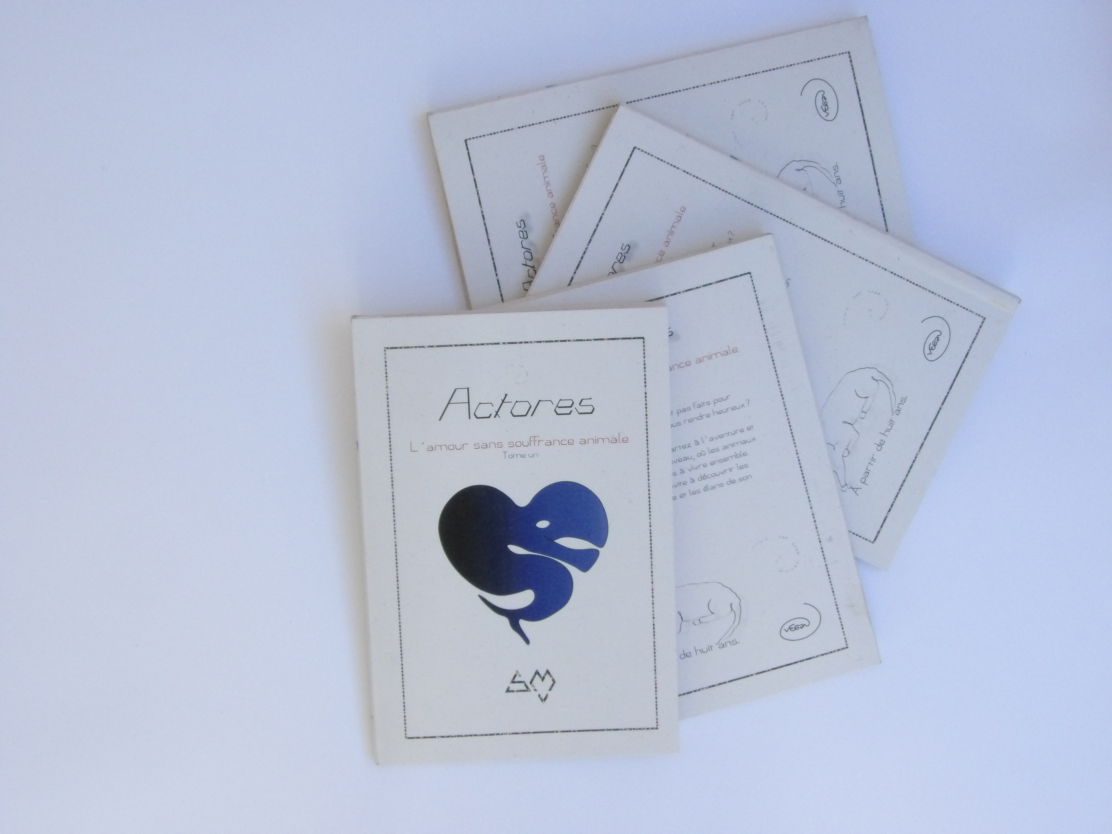 Version Hors-commerce