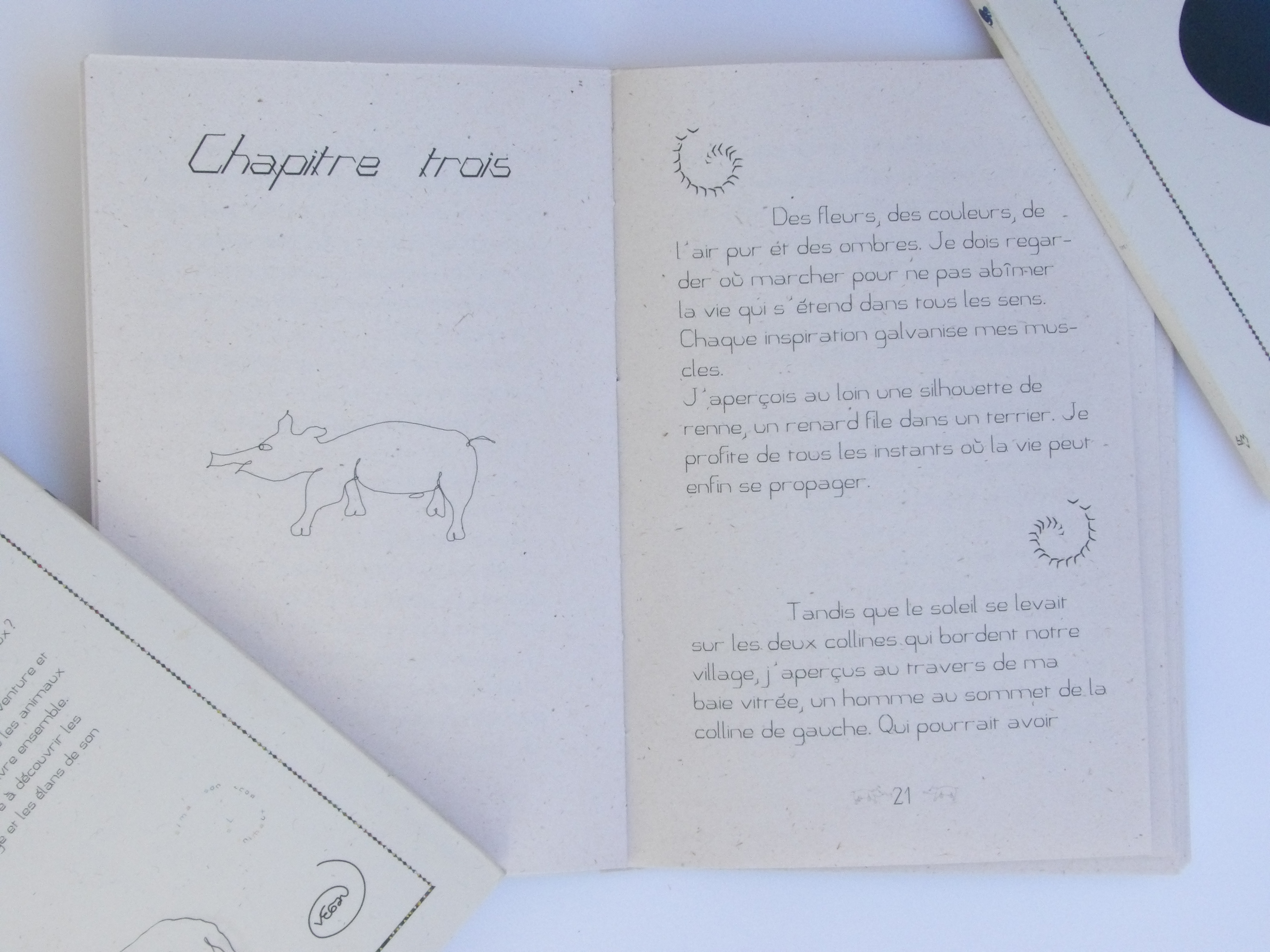 Illustration, extrait