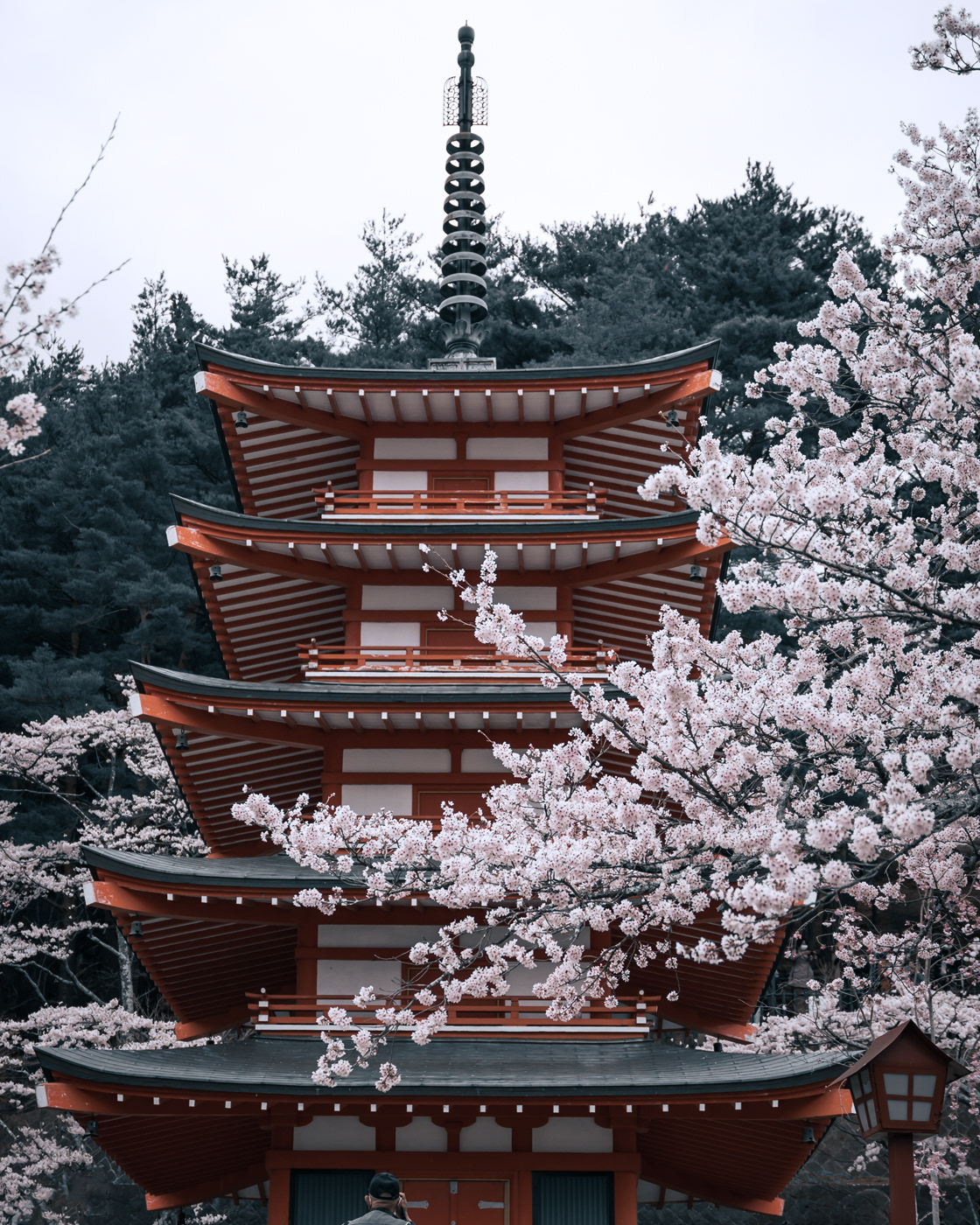 Fujikawaguchiko
