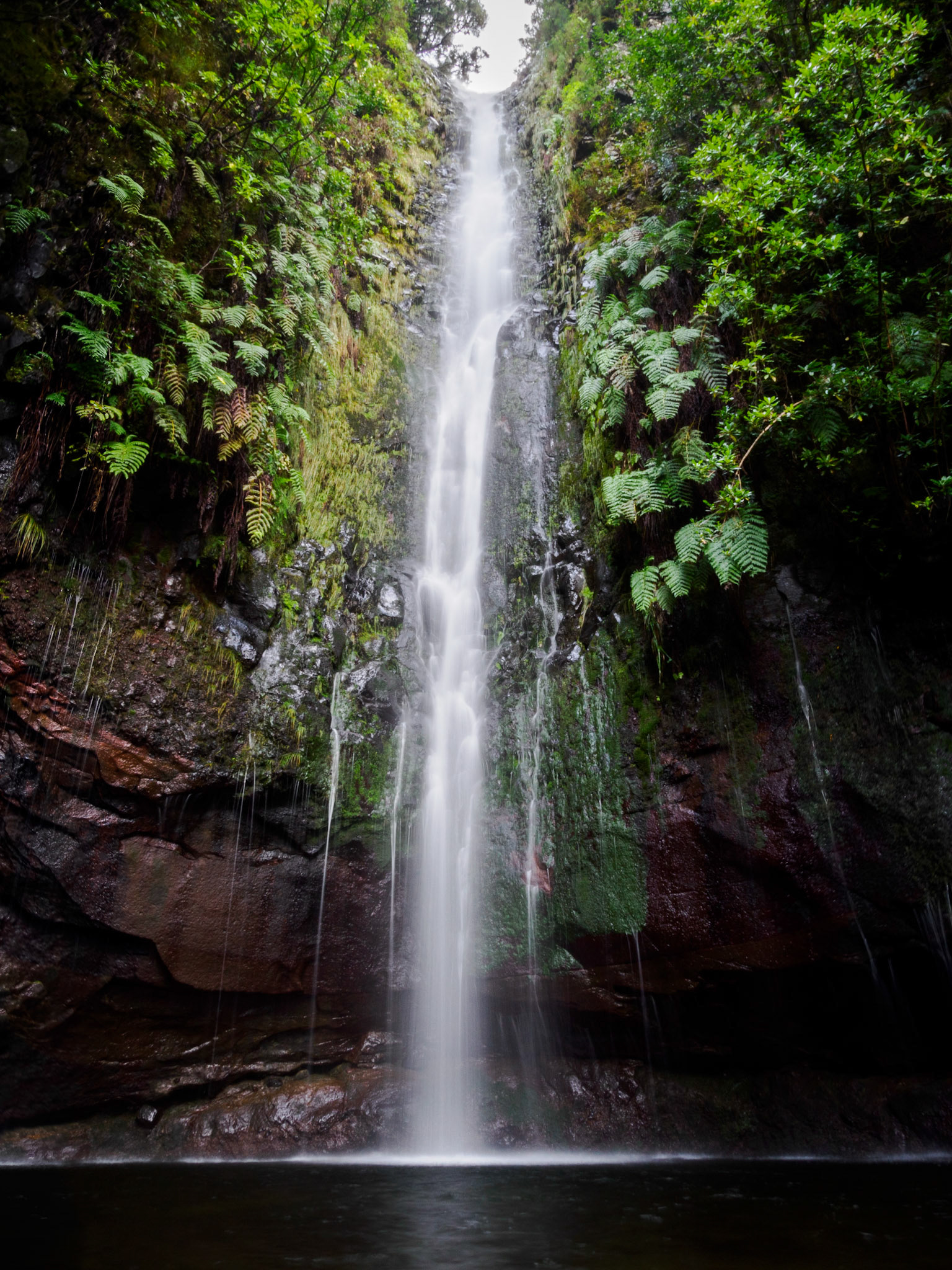 Levada das 25 Fontes