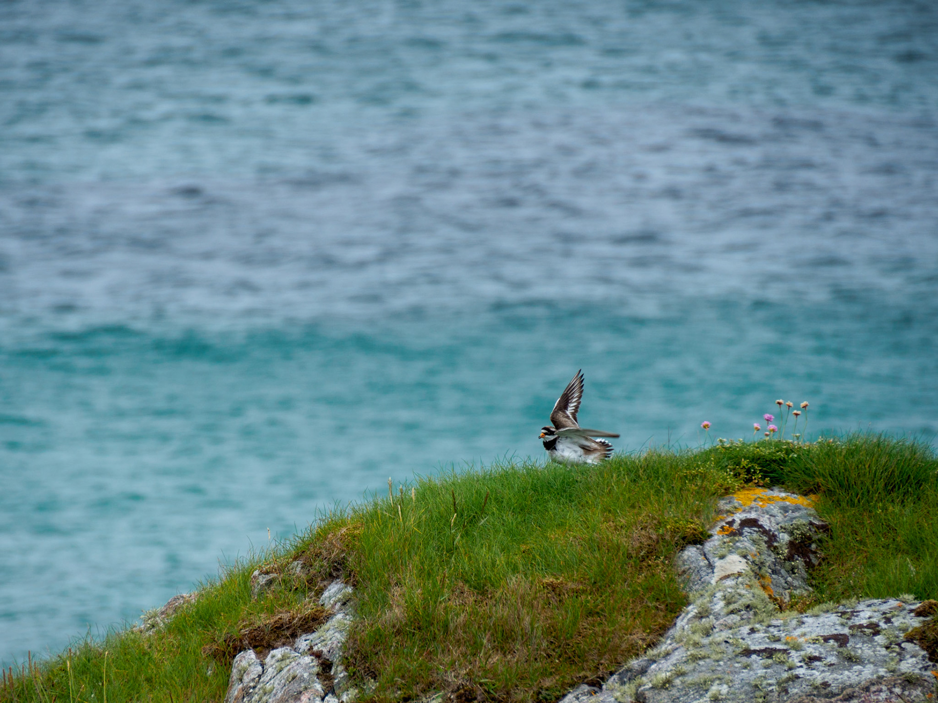 Ceannabeinne Beach - Durness