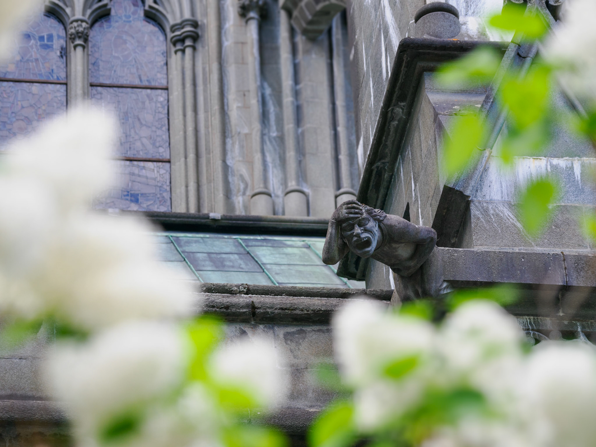 Wie konnte das nur passieren...