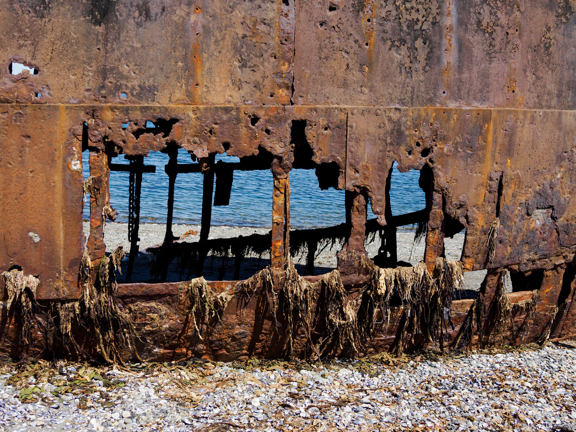 Schiffswrack 'Amadeo' an der Magellanstraße