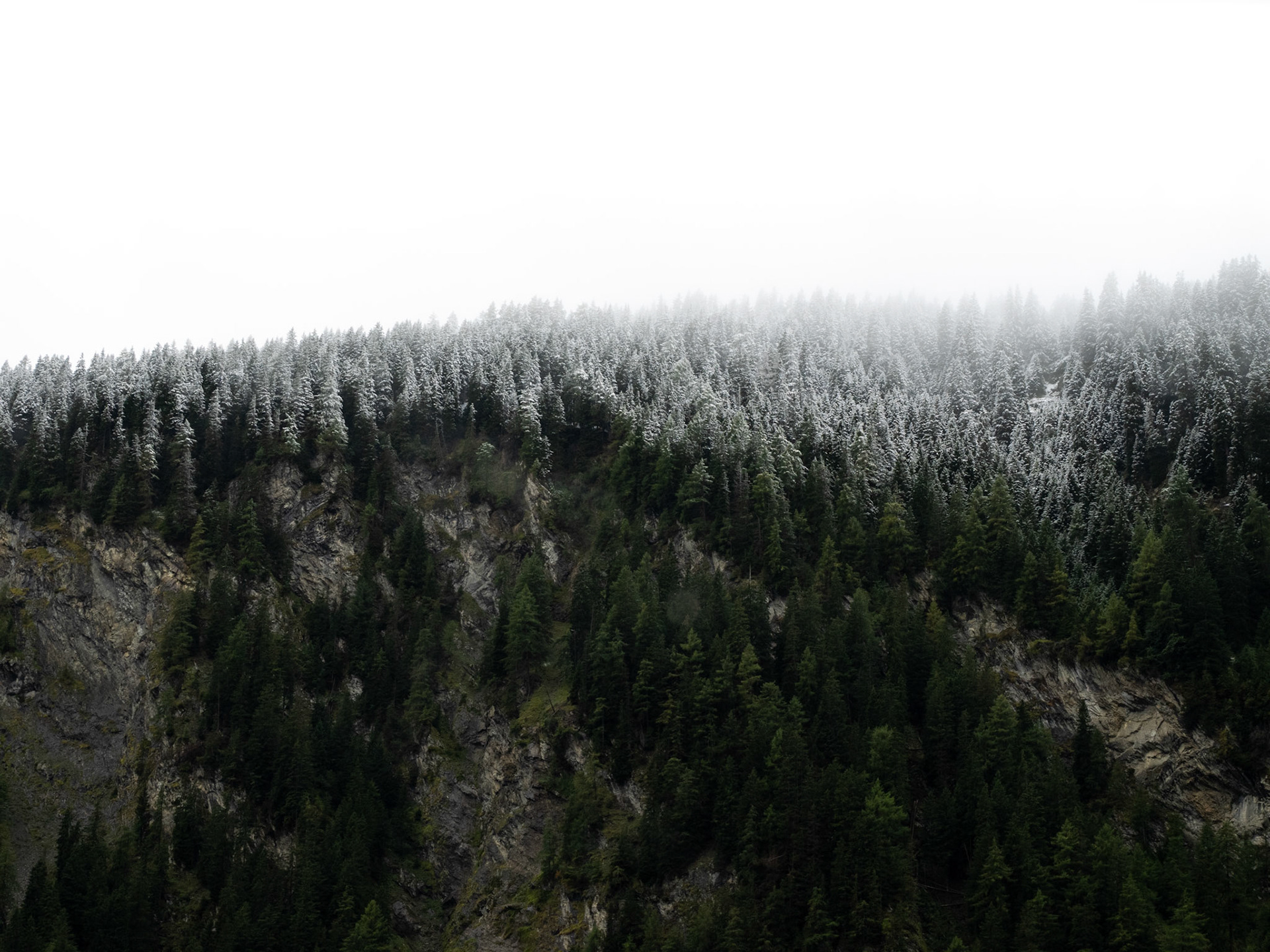 Plötzlich ist alles gepudert