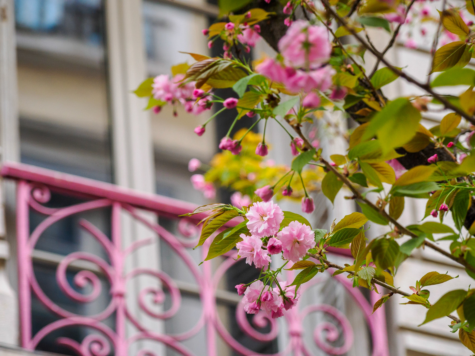 Frühling in Vieux-Lyon