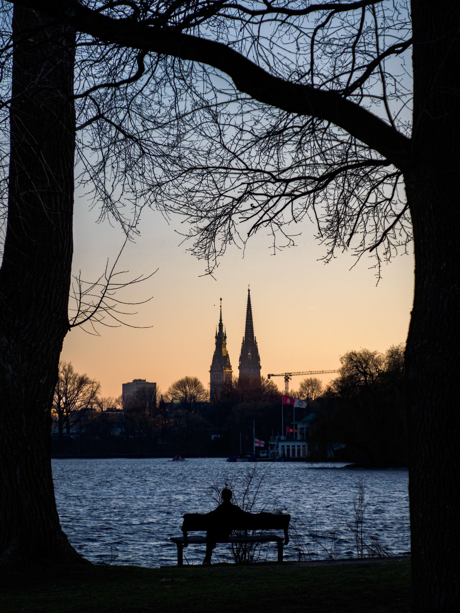 Über die Alster auf das Rathaus und St. Nikolai schauen