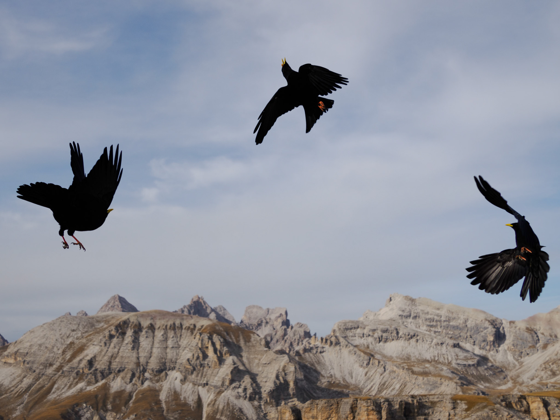 Klettern auf den Cirspitzen