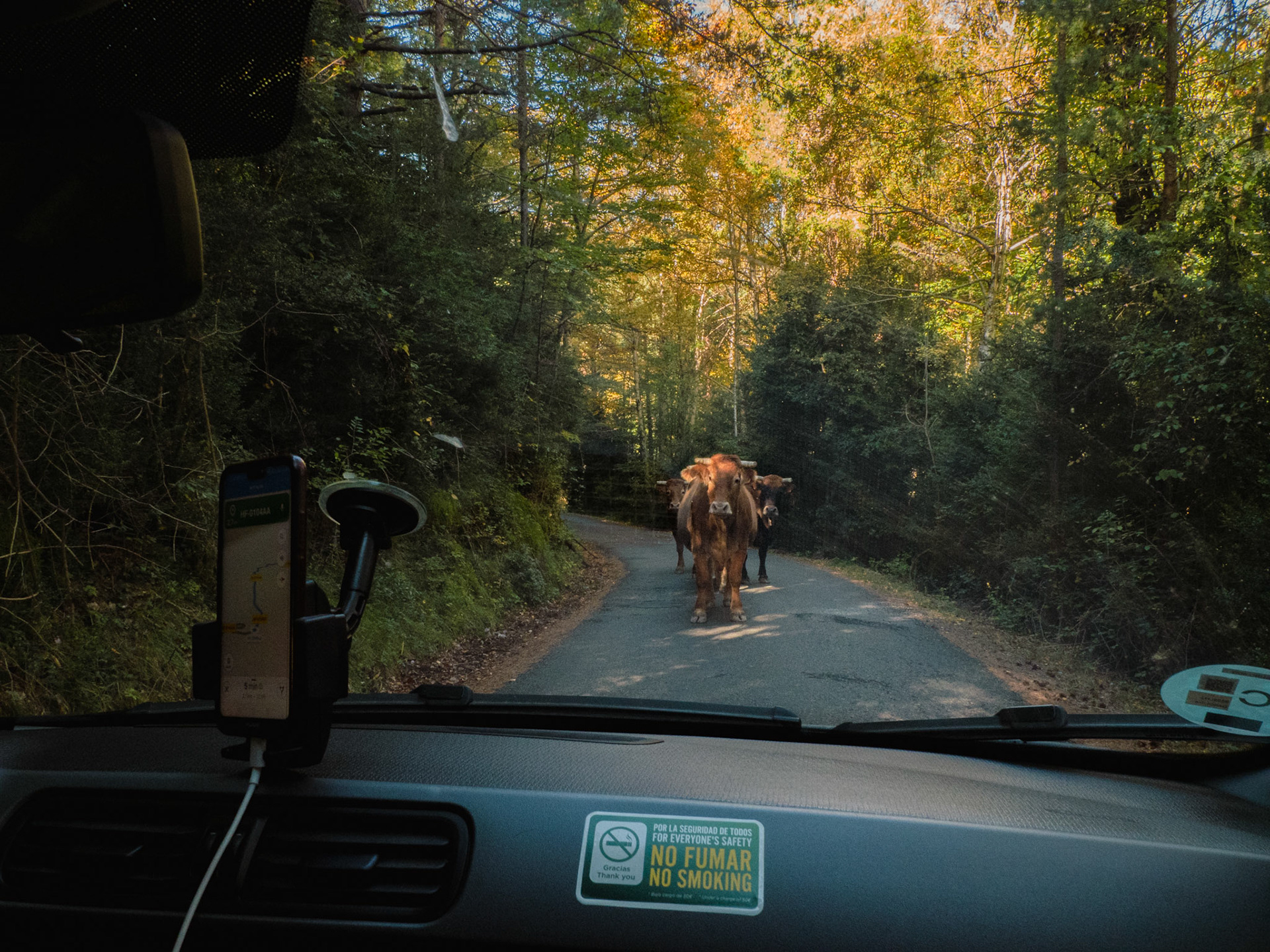 Auf dem Weg nach Escuain
