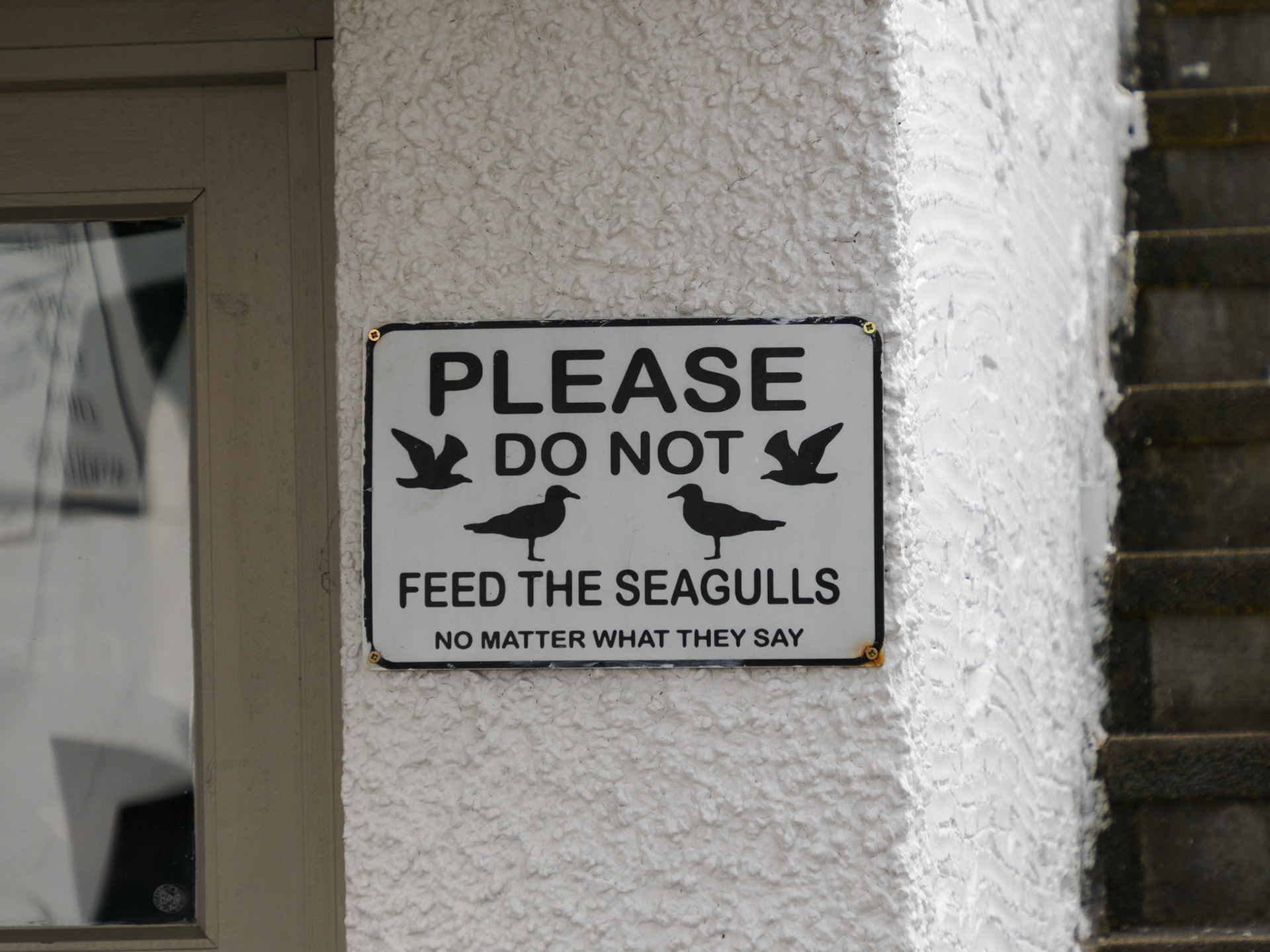 Please do not feed the seagulls. No matter what they say.