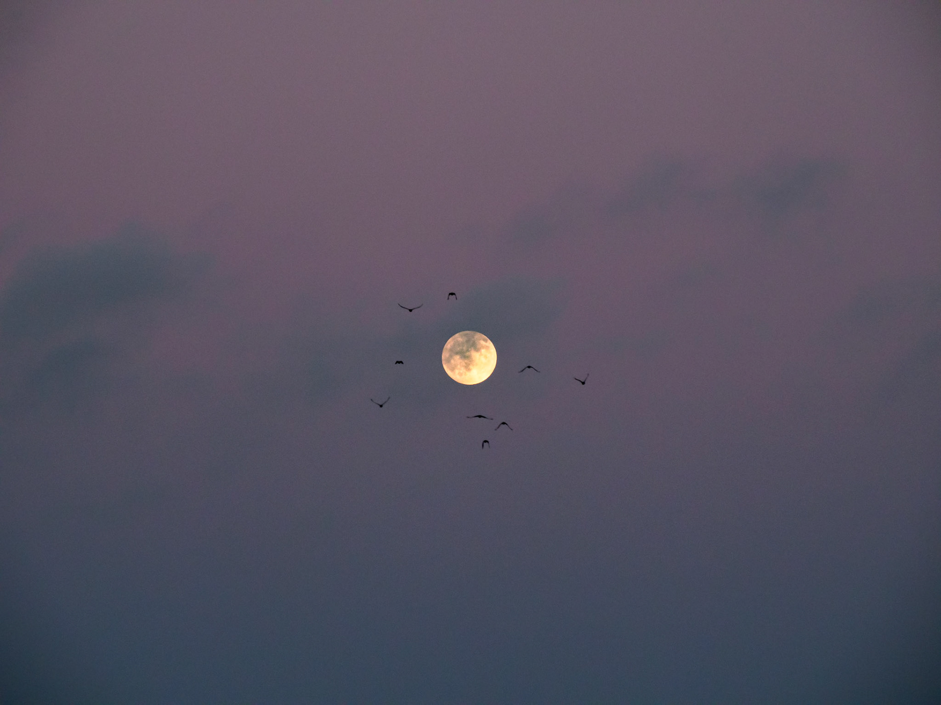 Fast Vollmond in Laboe