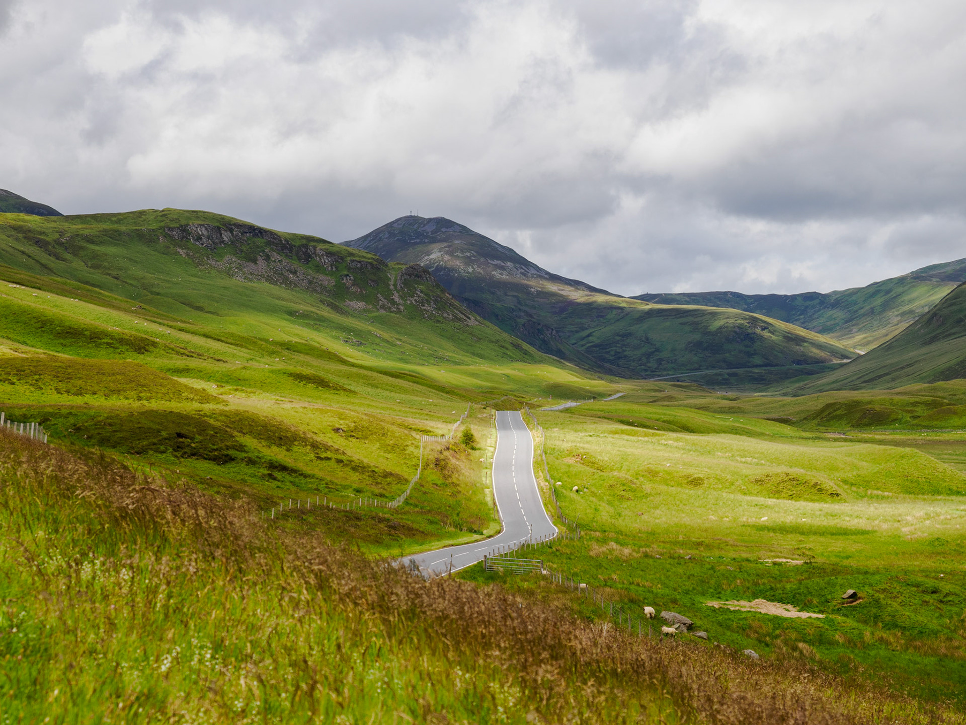 Entlang der Straße nach Braemar - Southern Cairngorms