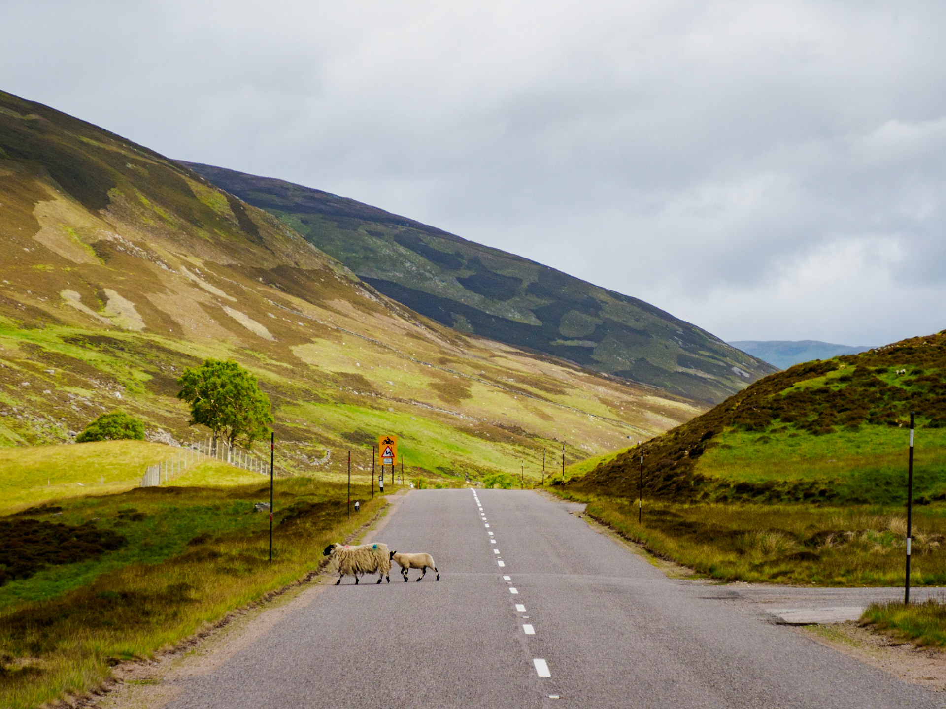 Entlang der Straße nach Braemar - Southern Cairngorms